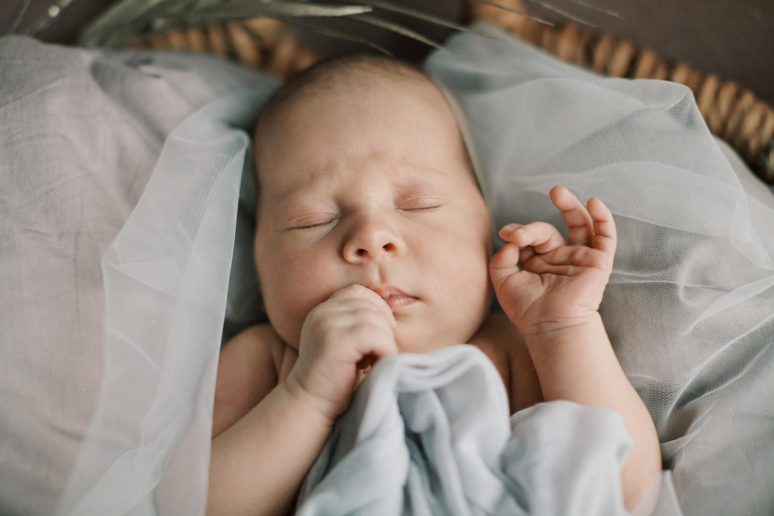 Есения. Фотограф Ольга Ефремова