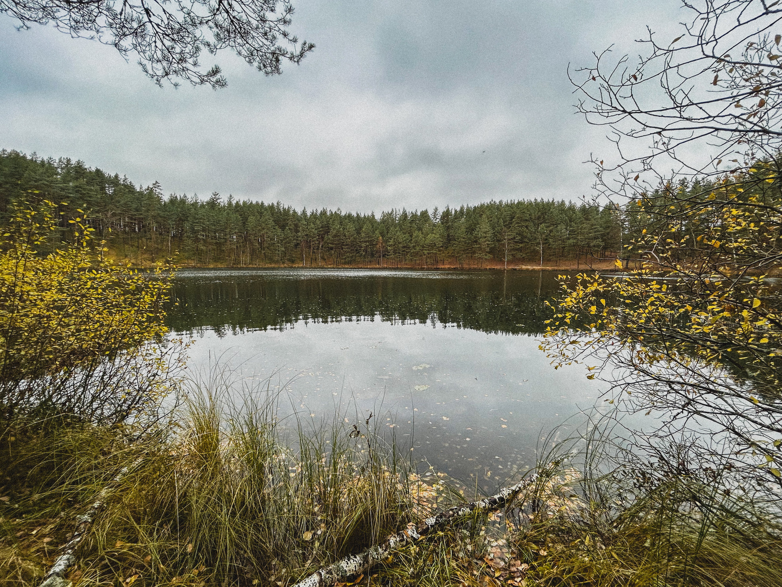 Природа. Фотокружок «Видоискатель» ГБОУ СОШ № 291