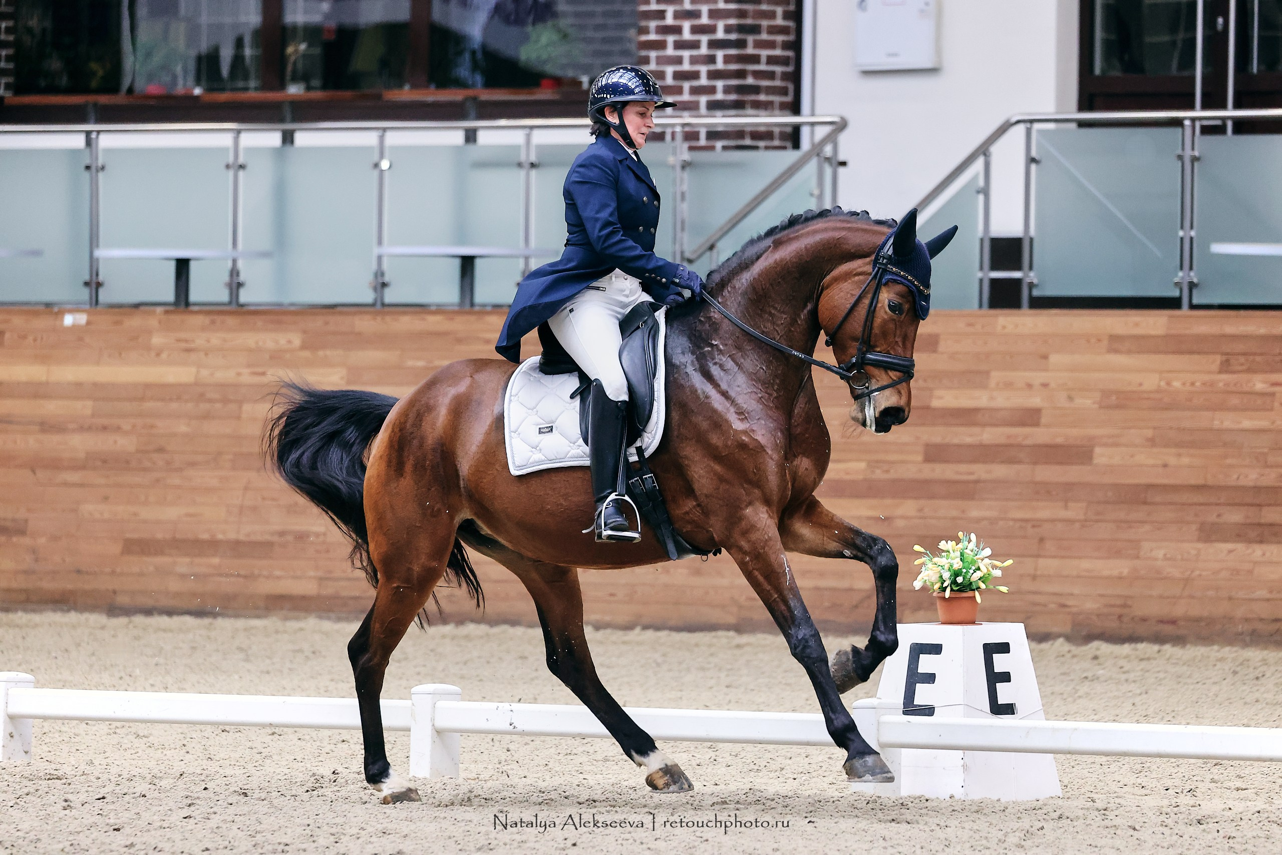 Финал Maxima Park по выездке, Maxima Stables | 10'2023. Репортажный фотограф и ретушер в Москве Наталья Алексеева