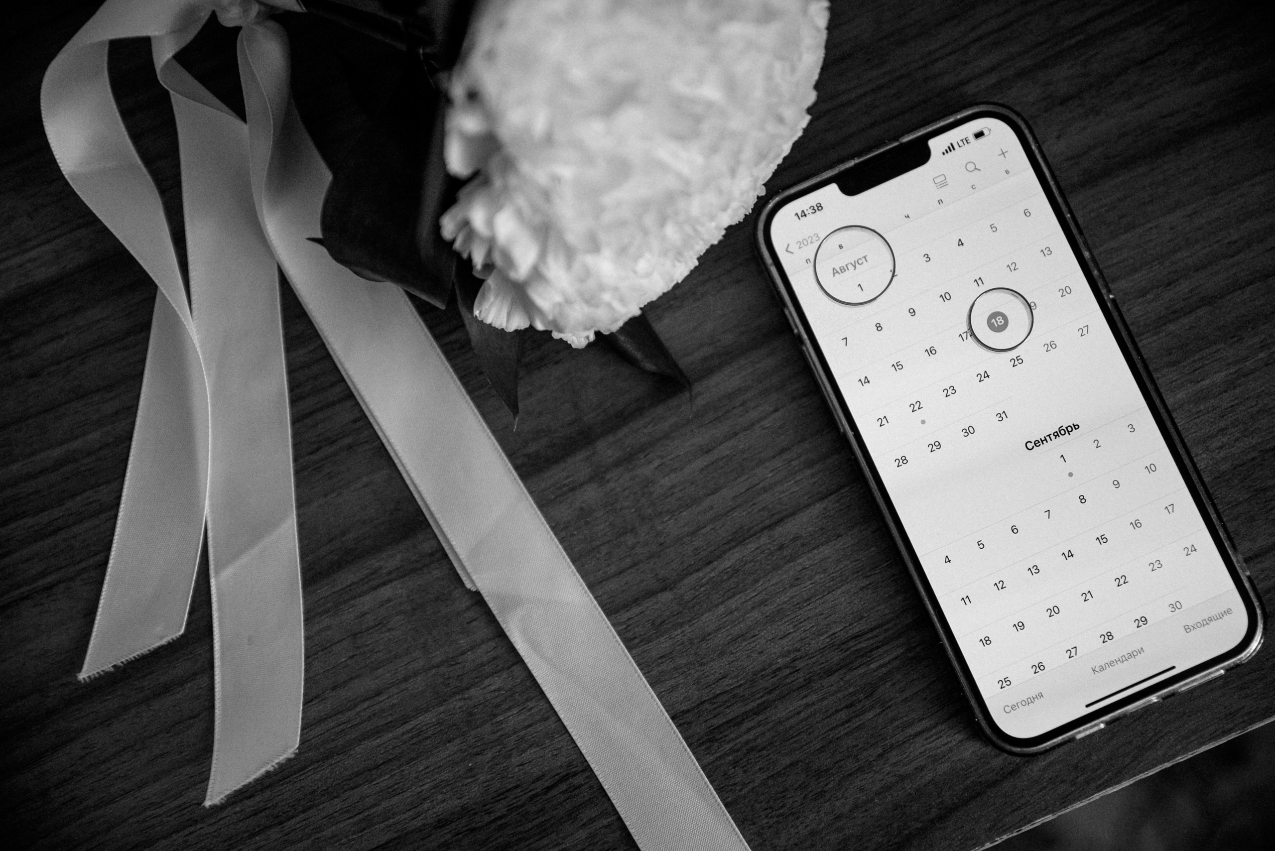 Алексей и Валерия. Свадебная и семейная фото и видеосъёмка. Брянск