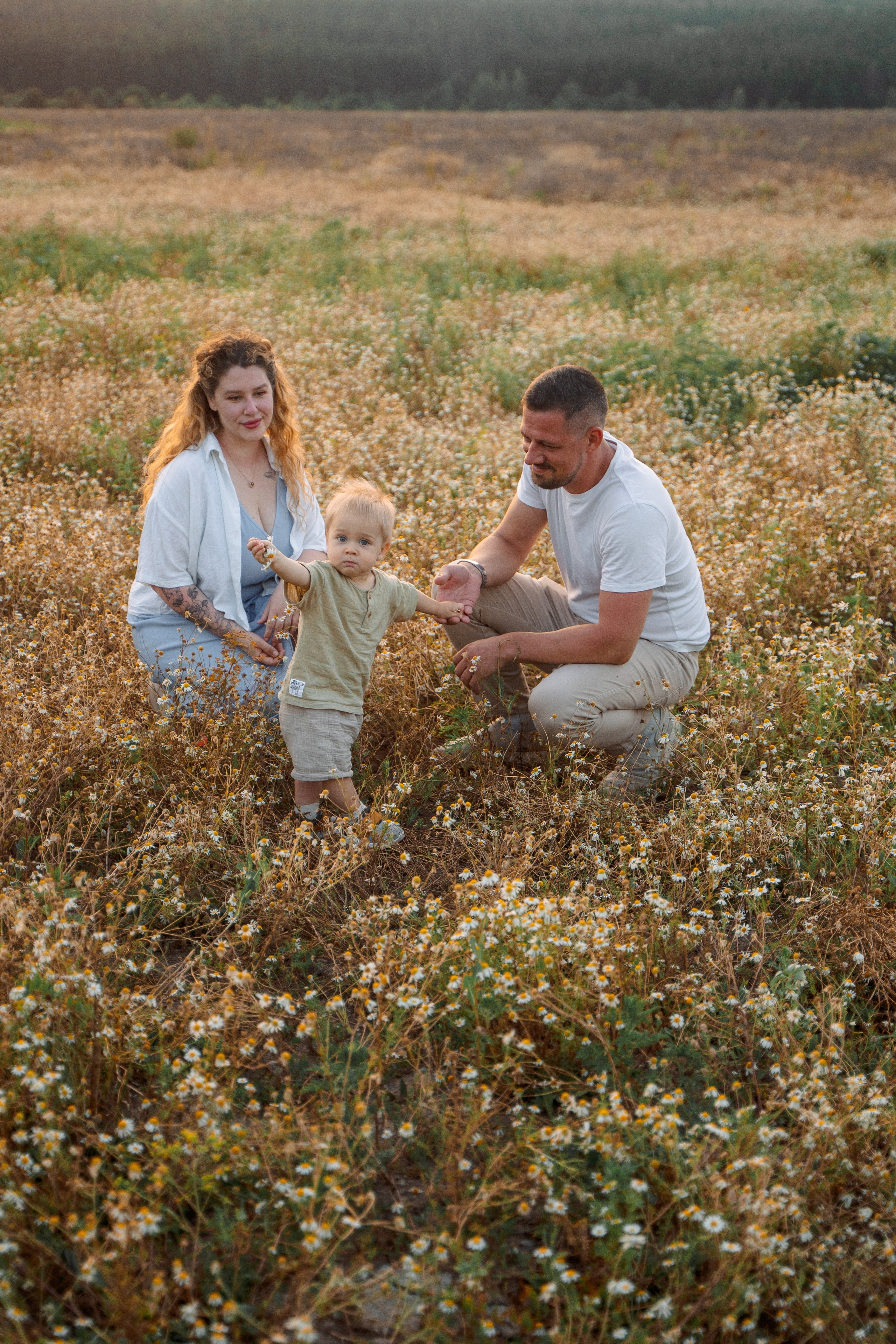 РОМАШКИ. Фотограф Мария Зайчик