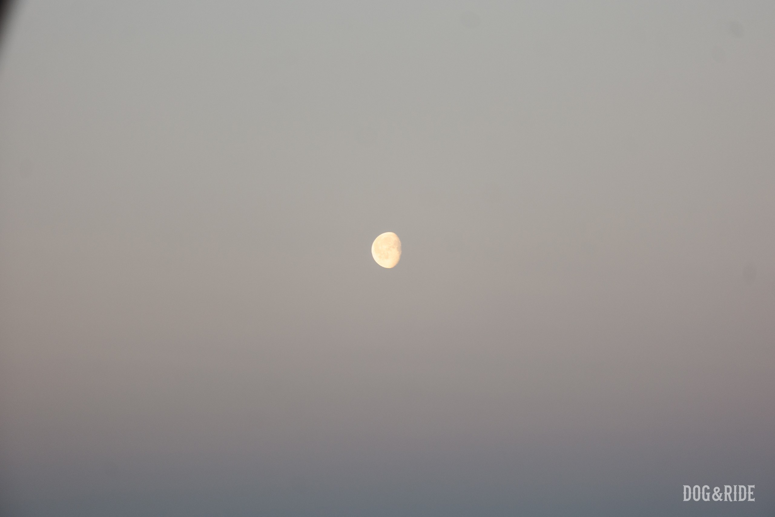 Кандалакшка. Фотограф анималист Никита Натальный