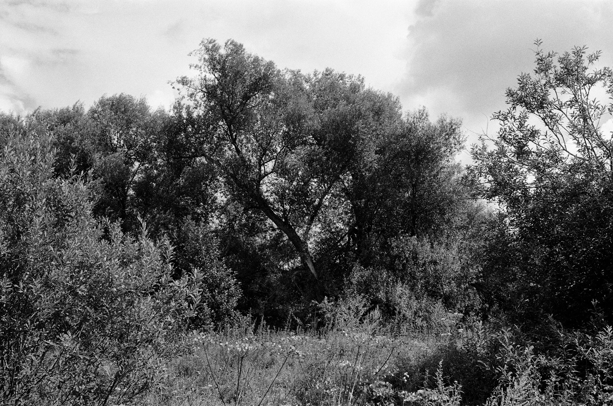 Киржач. Владимирская область. Другой Павел Поцелуев. Фотограф в 2025 году