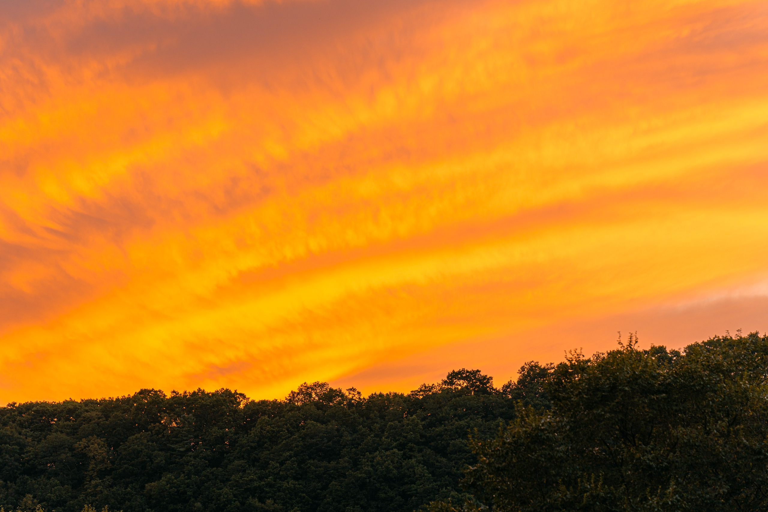 Майхинское хозяйство. Иван Зайцев (IZIART) — создание культурного кода через фото и видео