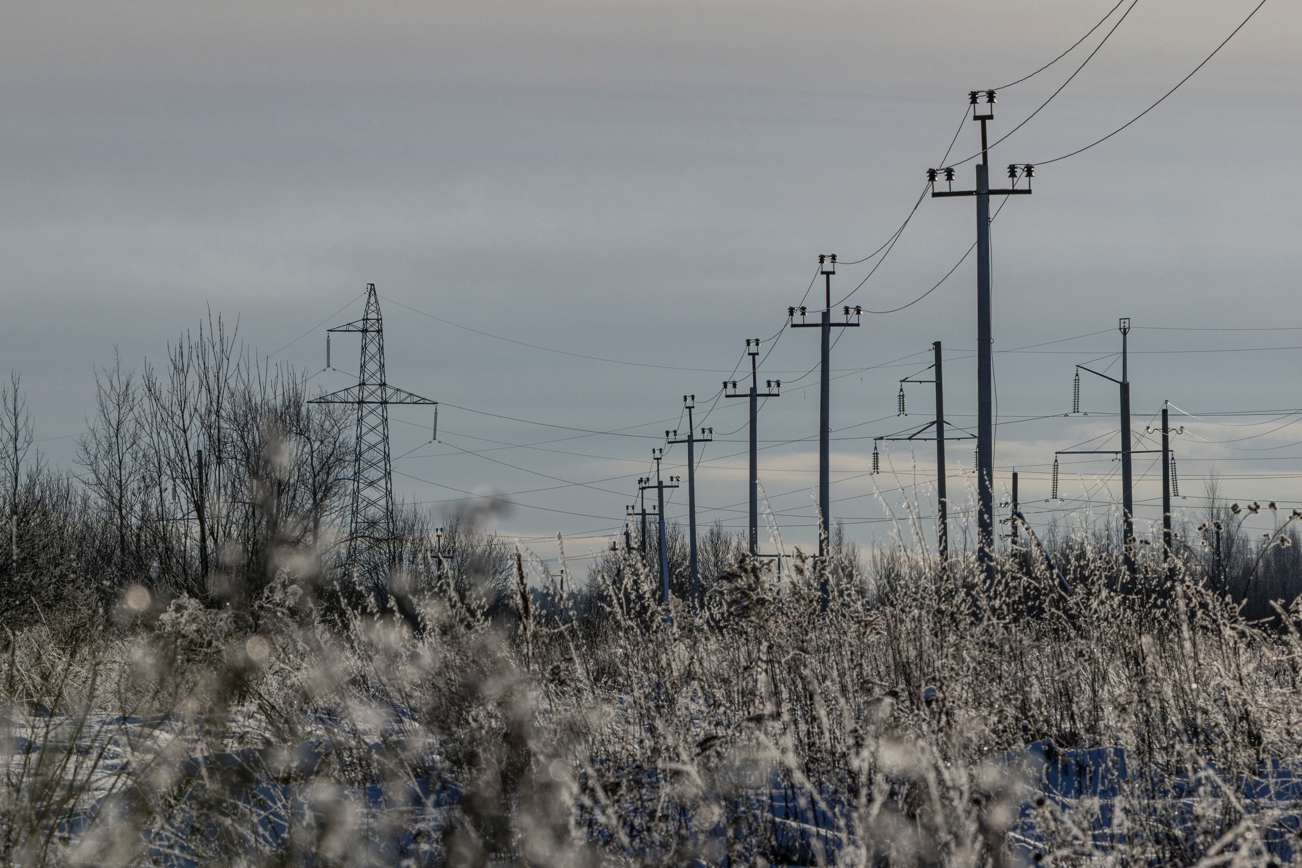 Про жизнь. Фотограф Сергей Ловкий