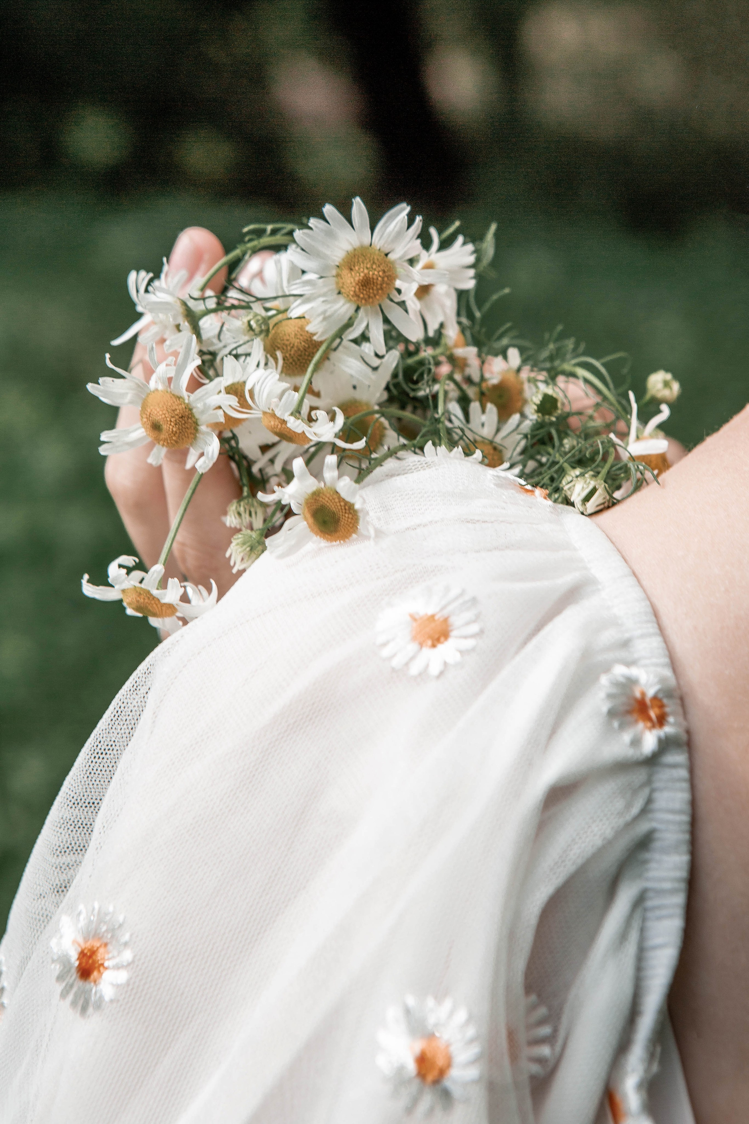 Эльфийские истории. Фотограф Екатерина Голицына