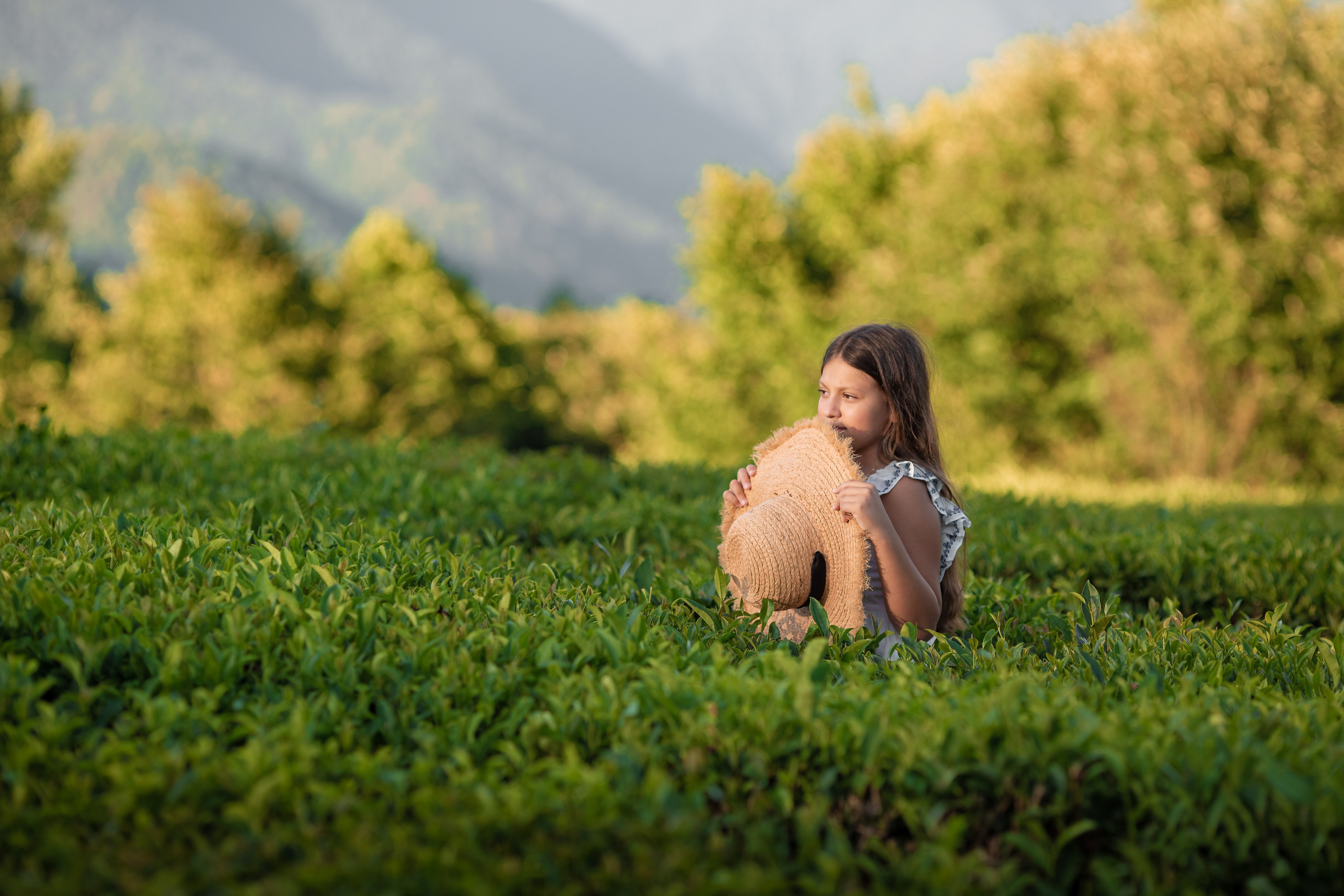 Чайная плантация. Сочи. Семейный и детский фотограф в Краснодарском крае Натали Фищенко