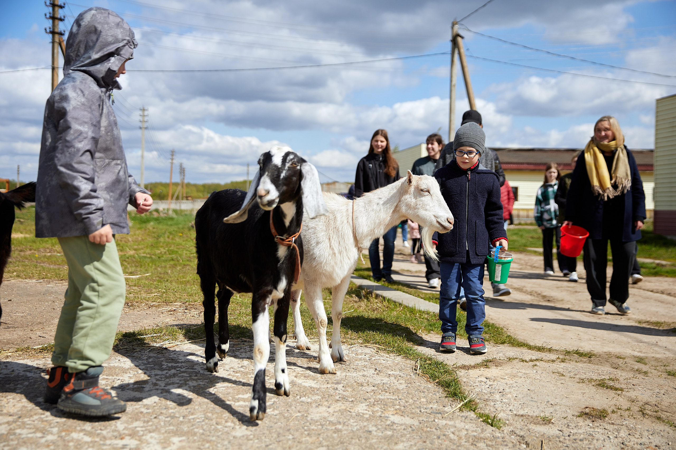 На ферме. Главная