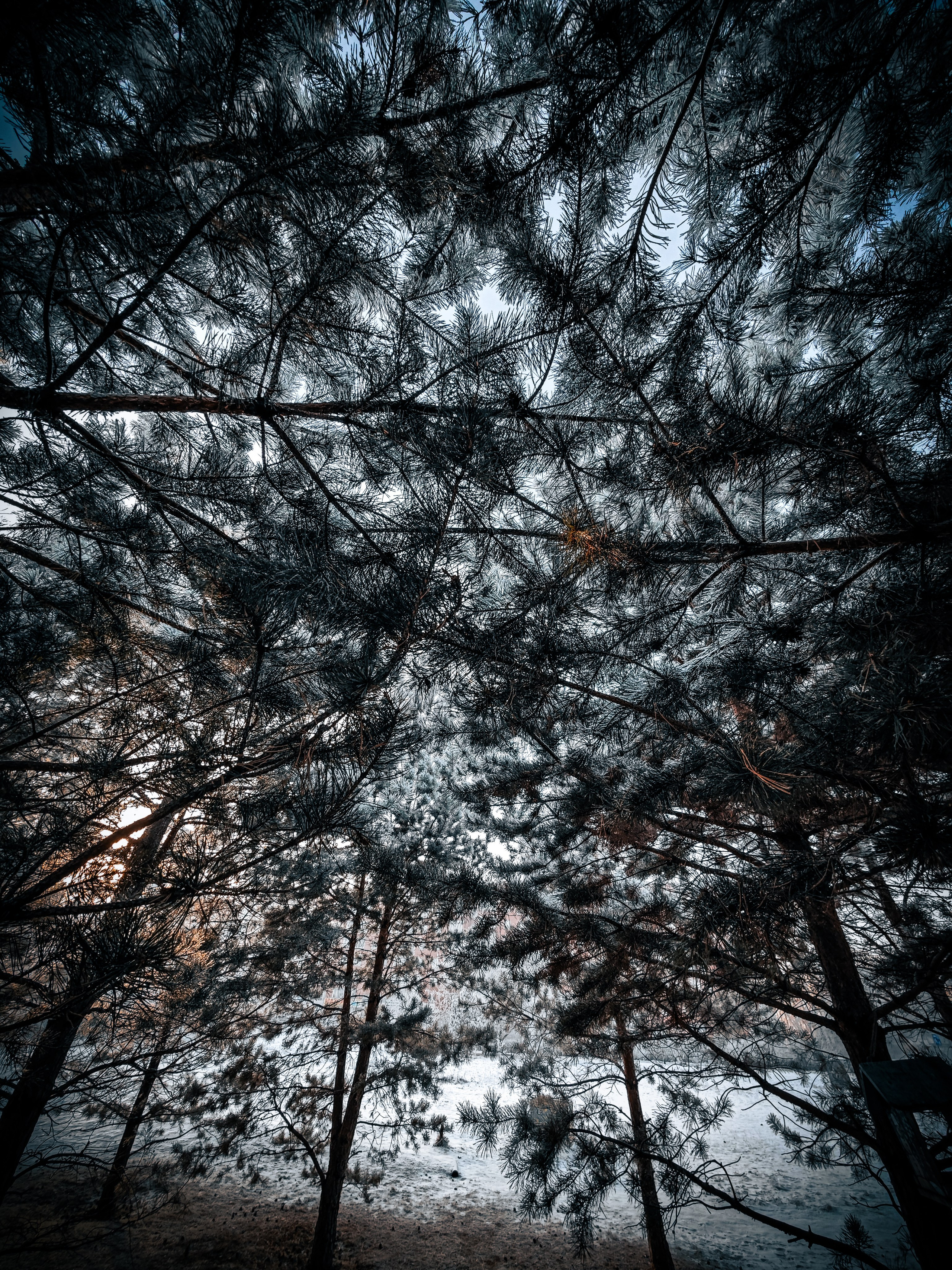 Скоро лето. Игорь Урывский. Фотограф Красноярск