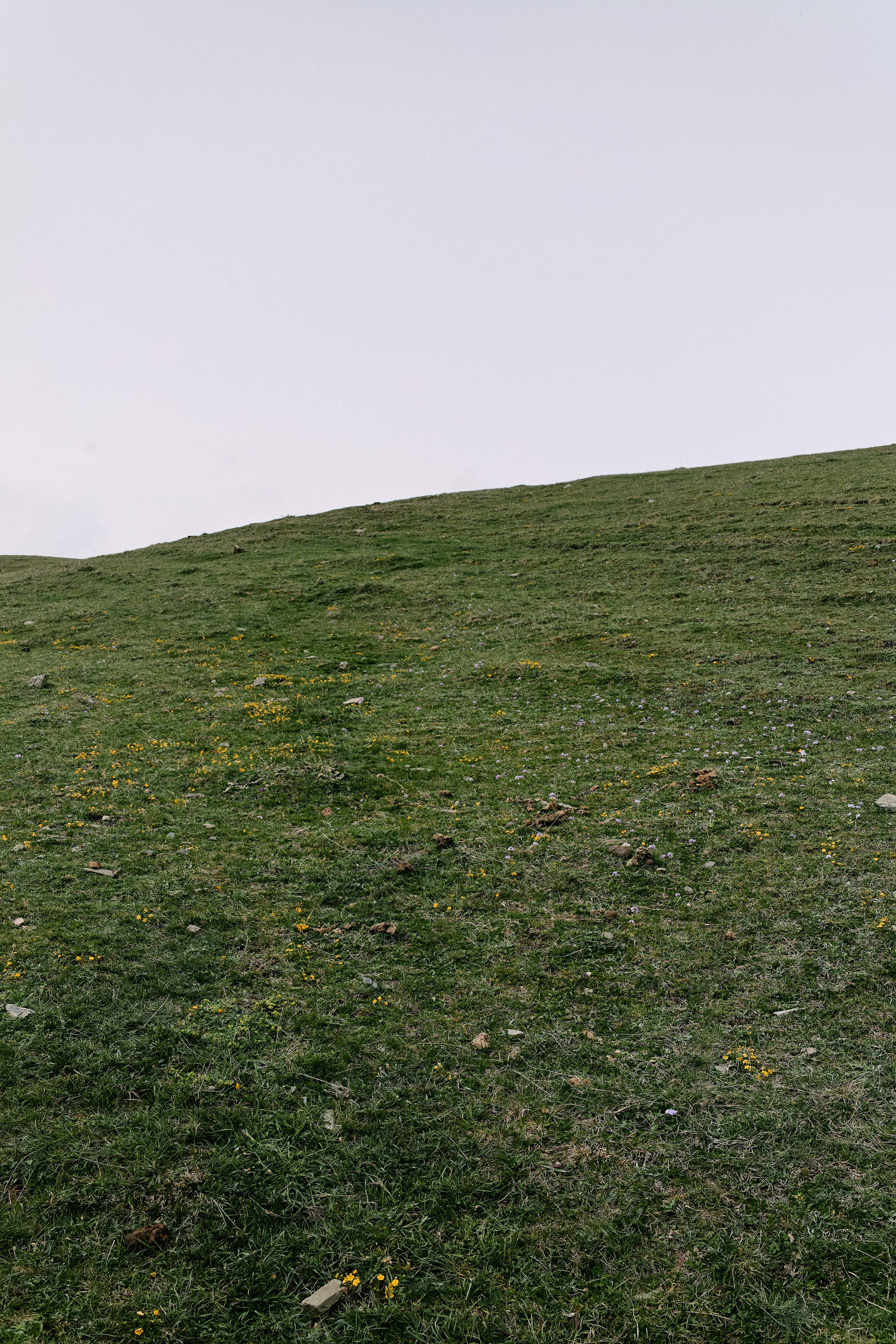 Грузия. Профессиональный Фотограф во Владимире, в Москве и в Суздале — Полина Романычева
