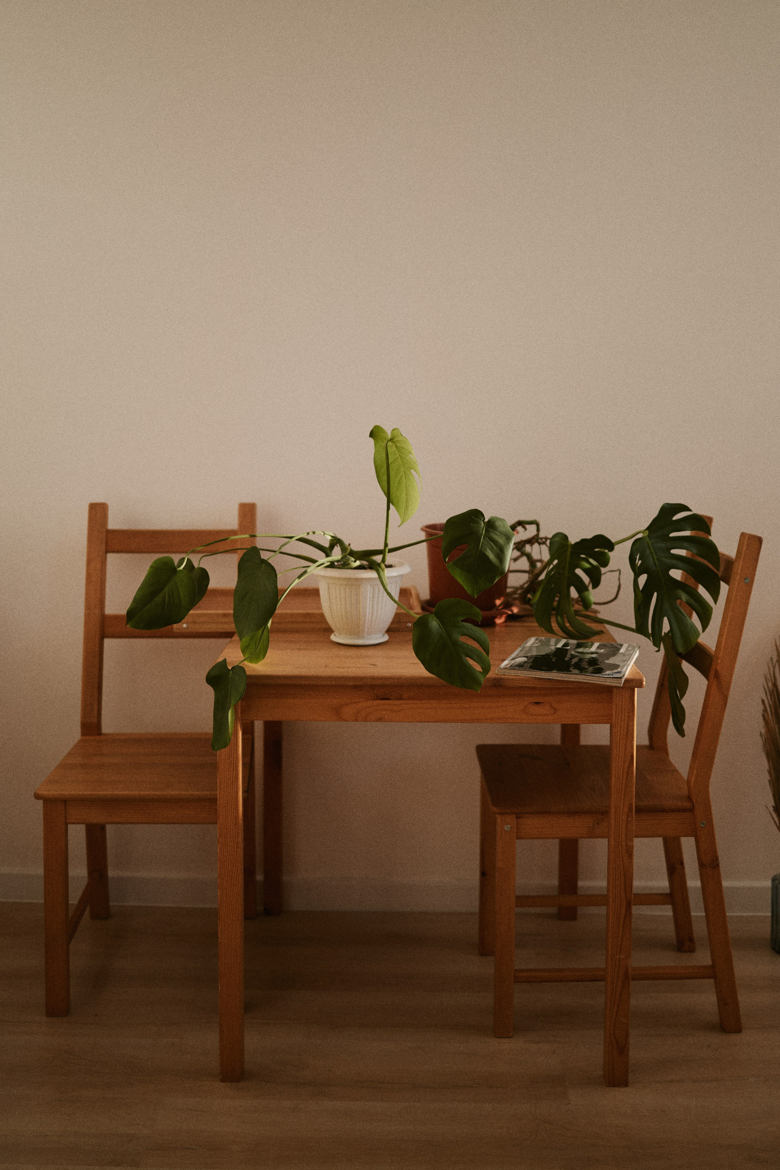 Дарья. Фотограф и видеограф в Кургане Леонид Корнильев