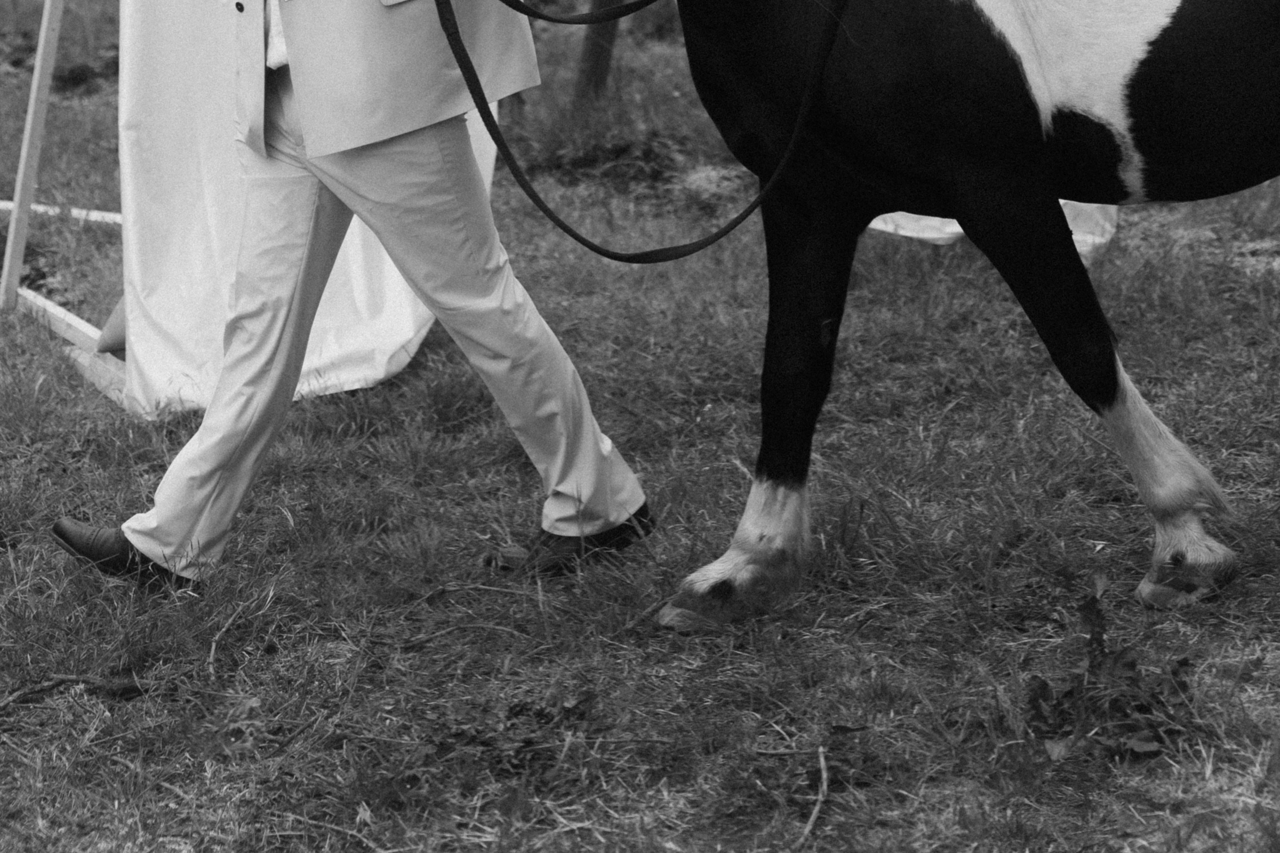 Свадебный фотограф Москва Санкт-Петербург СПБ