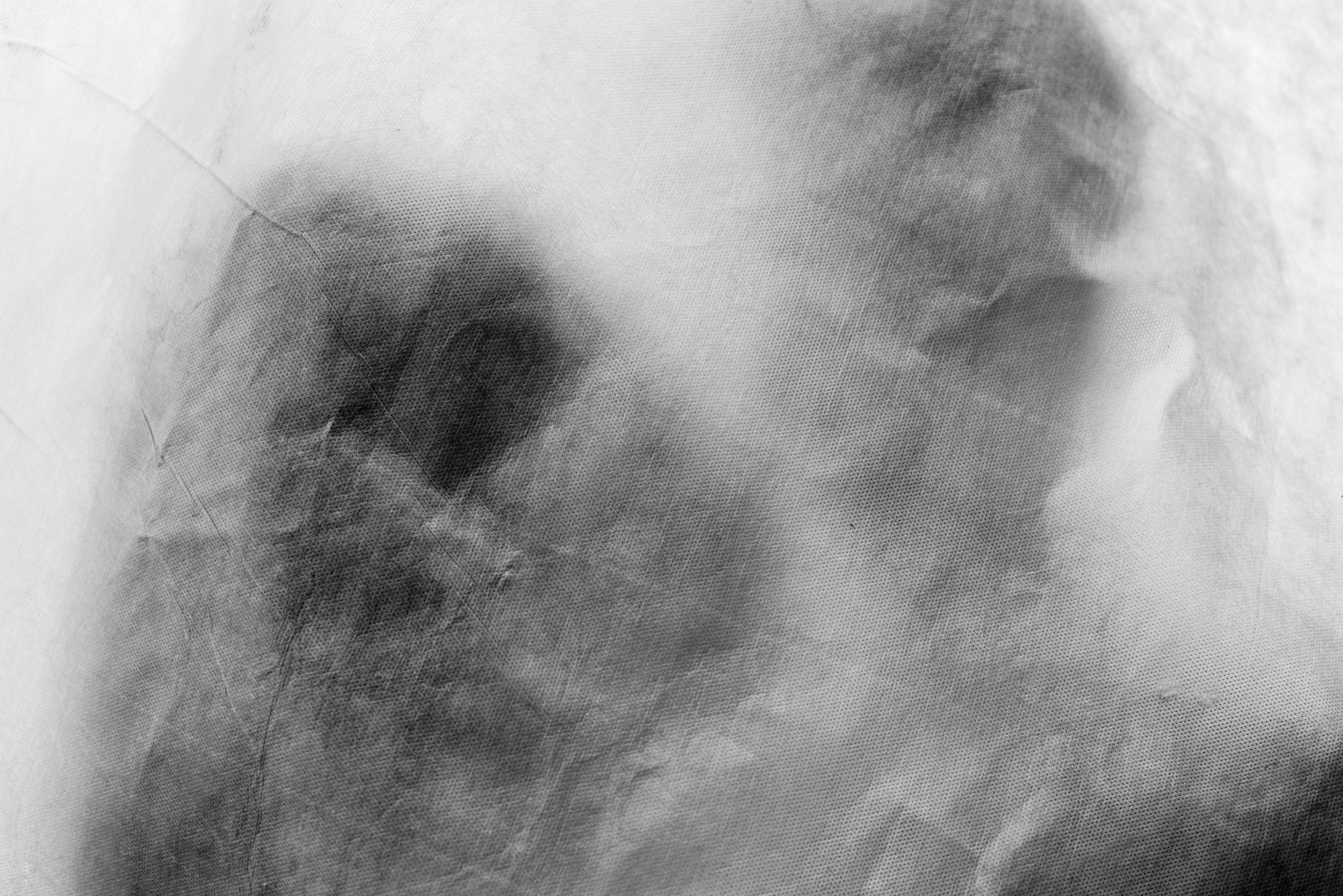 Любовь в полях. Портретный фотограф Белград Матвей Кармаков