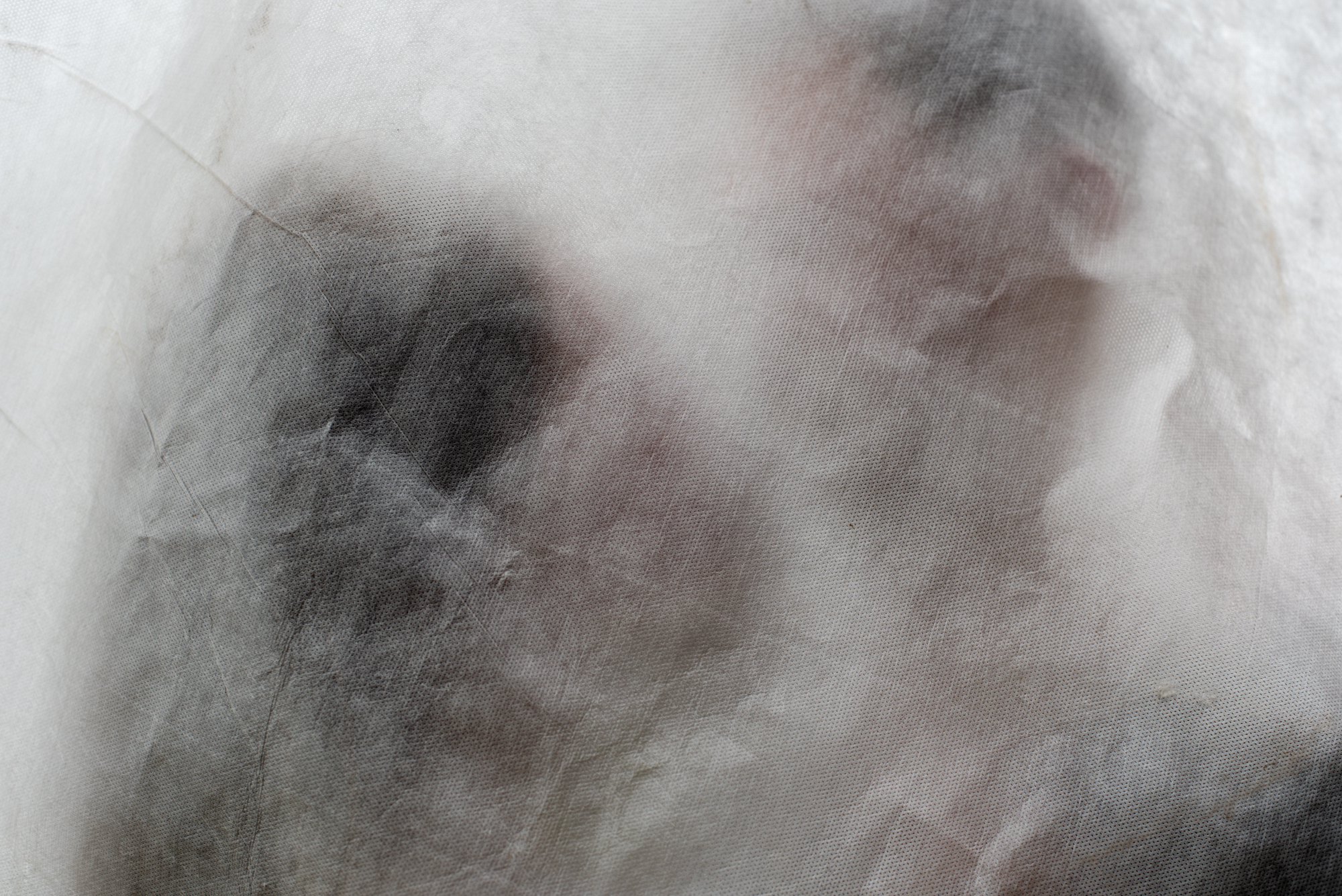 Любовь в полях. Портретный фотограф Белград Матвей Кармаков