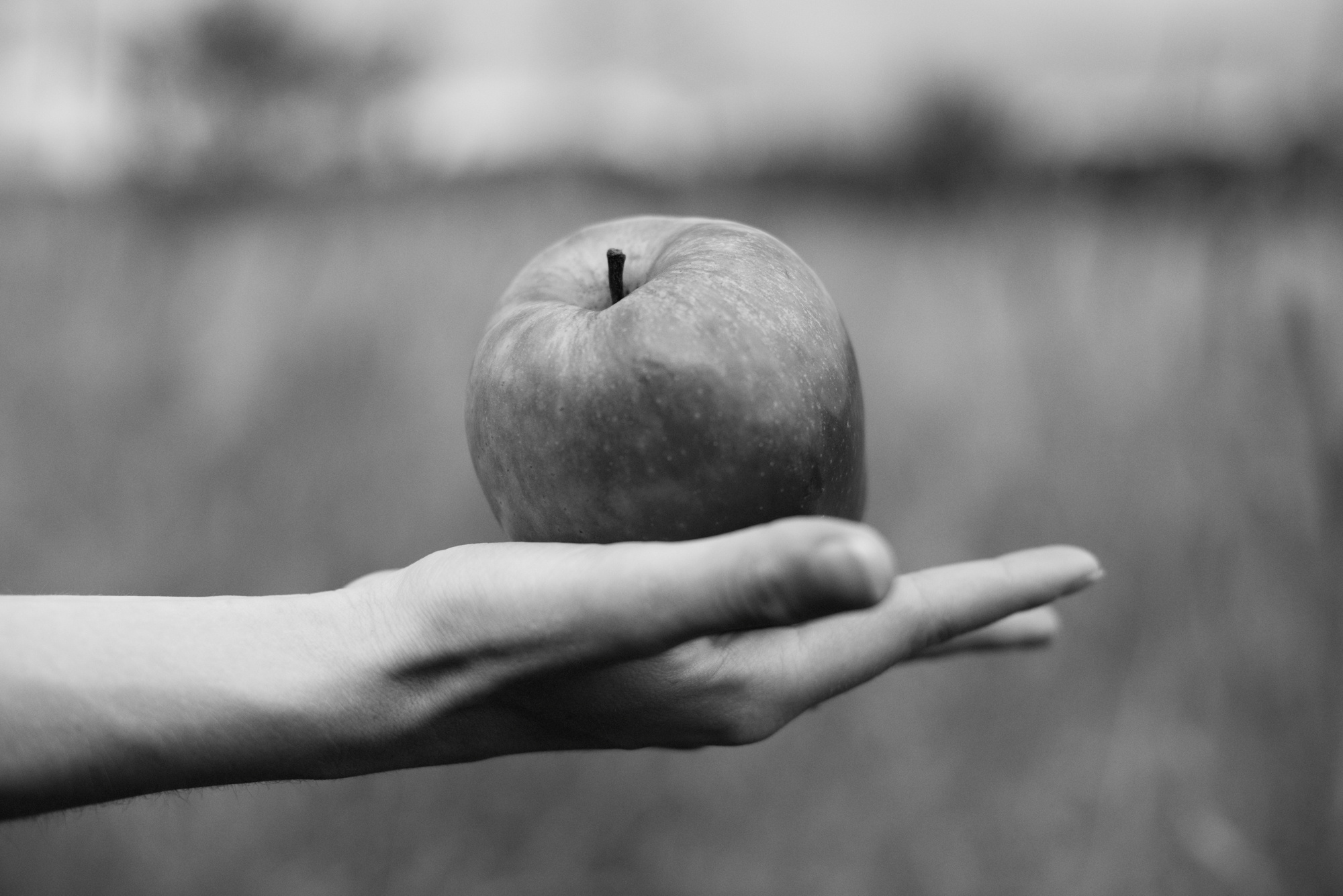Любовь в полях. Портретный фотограф Белград Матвей Кармаков