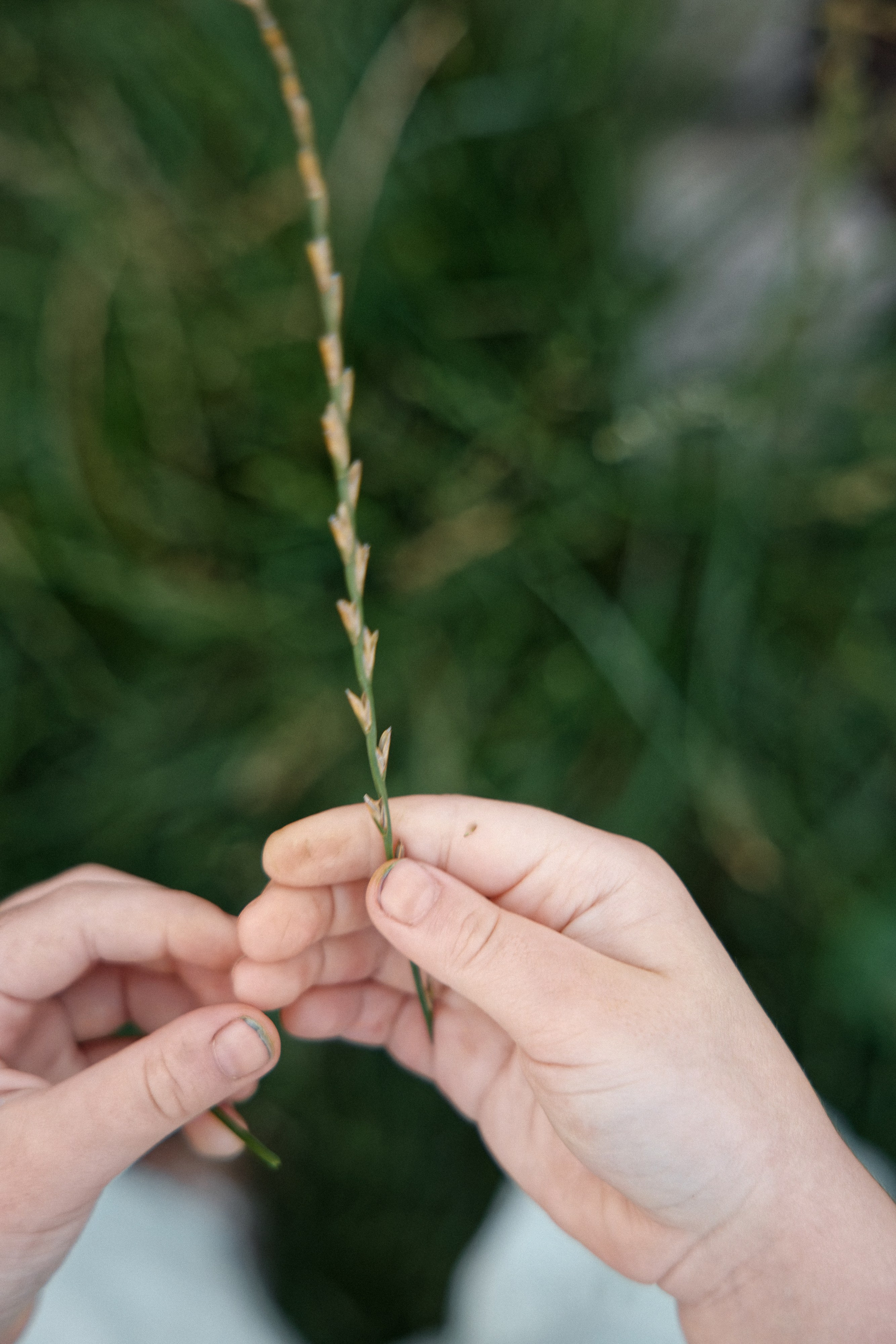 Семья Даниловых. Семейный фотограф — Макс Белогрудов