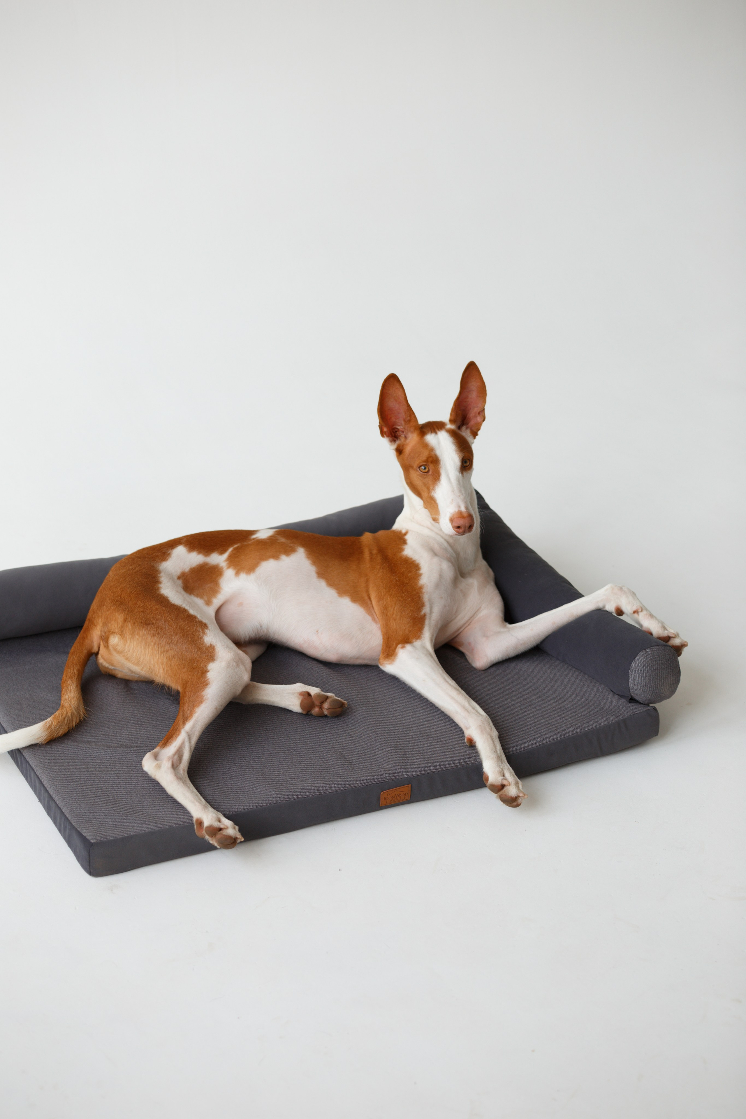 Boonwood Pets лежанки для животных. Фотограф анималист Кристина Карпова, Москва