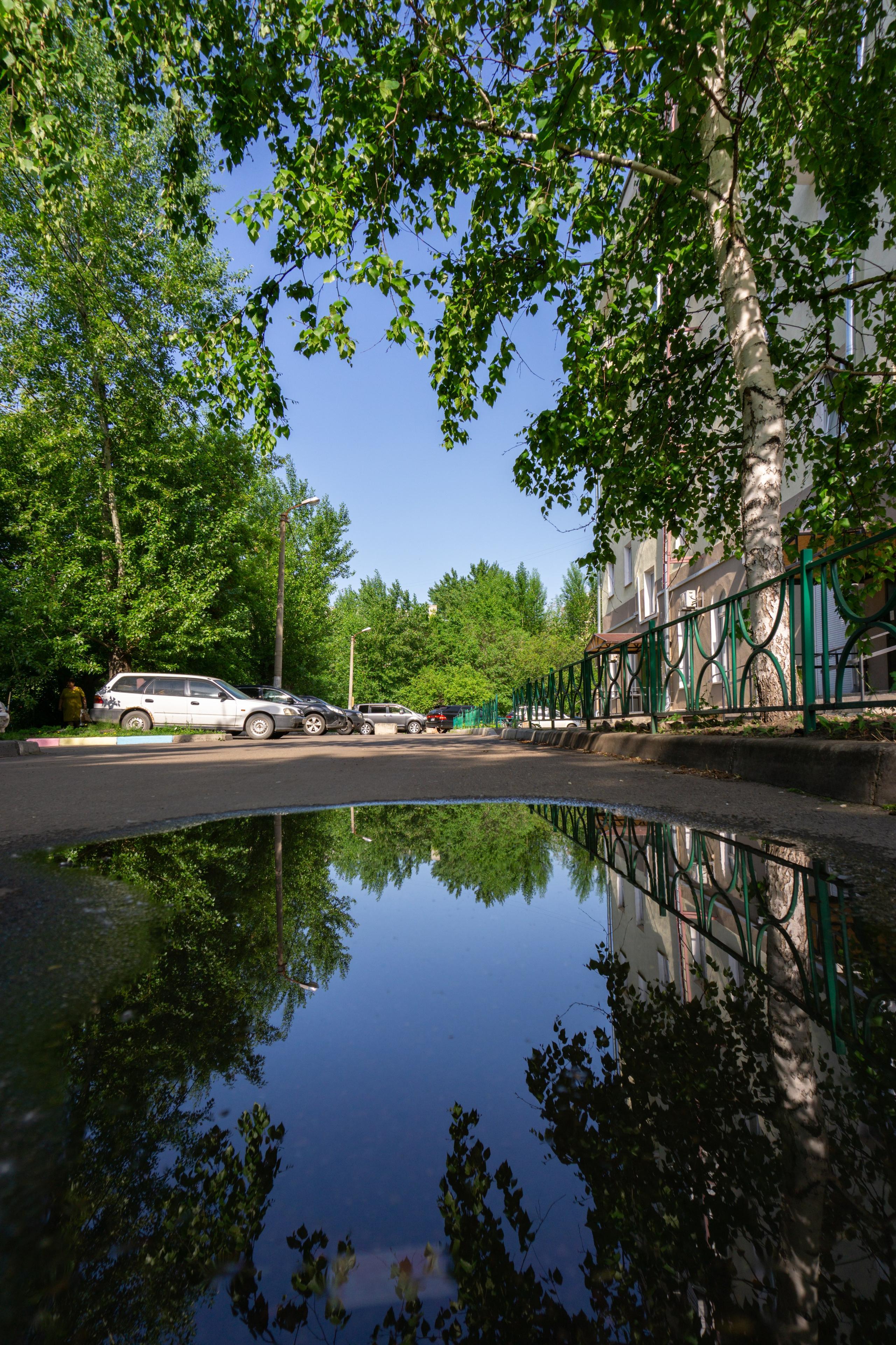 03.06.2025 | Красноярск. Kuznetsov | Фотограф в Красноярске