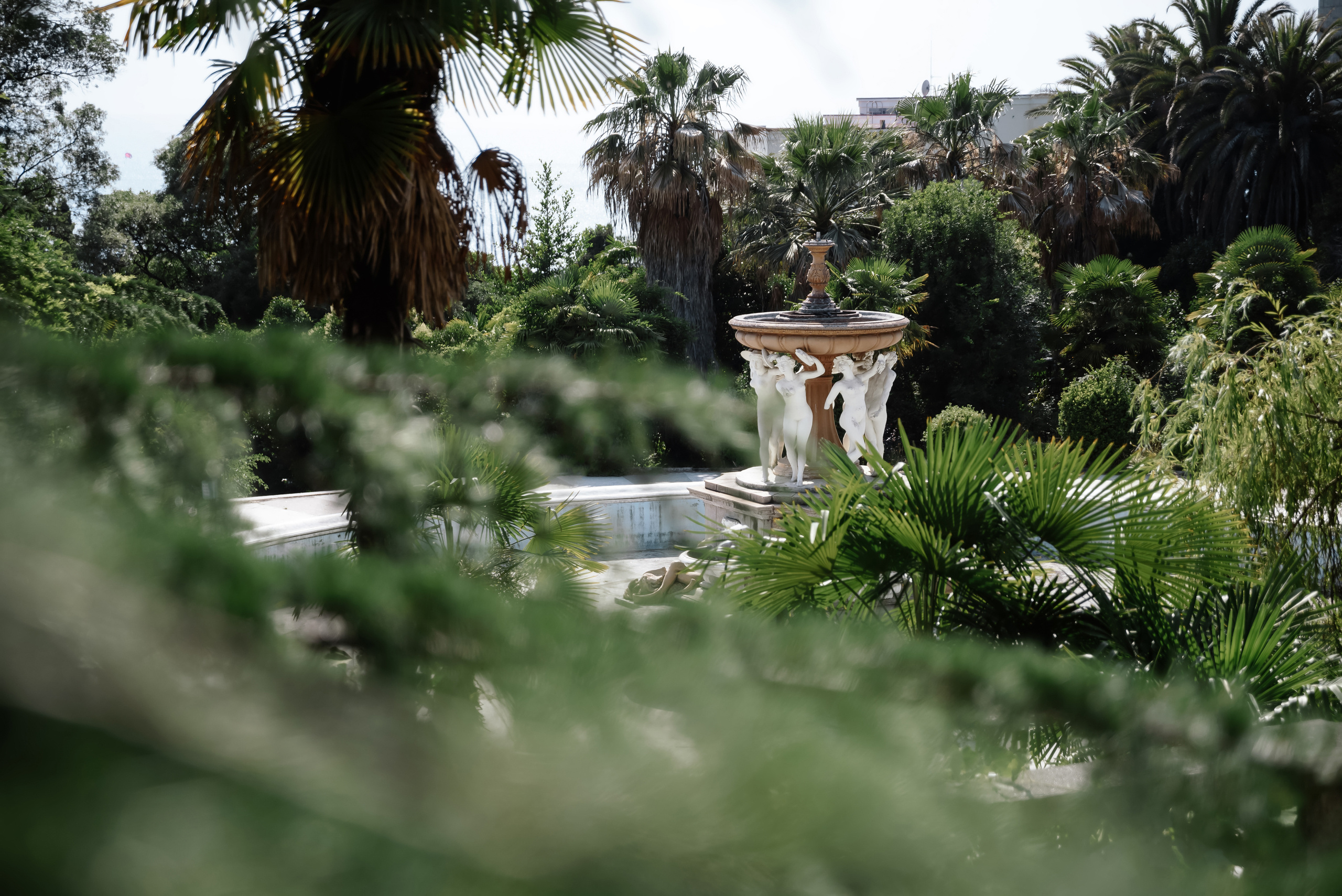 Владислав и Виктория. Сочи — Орджоникидзе. Свадебный и Event фотограф в Москве | Андрей Губренко | Gubrenko