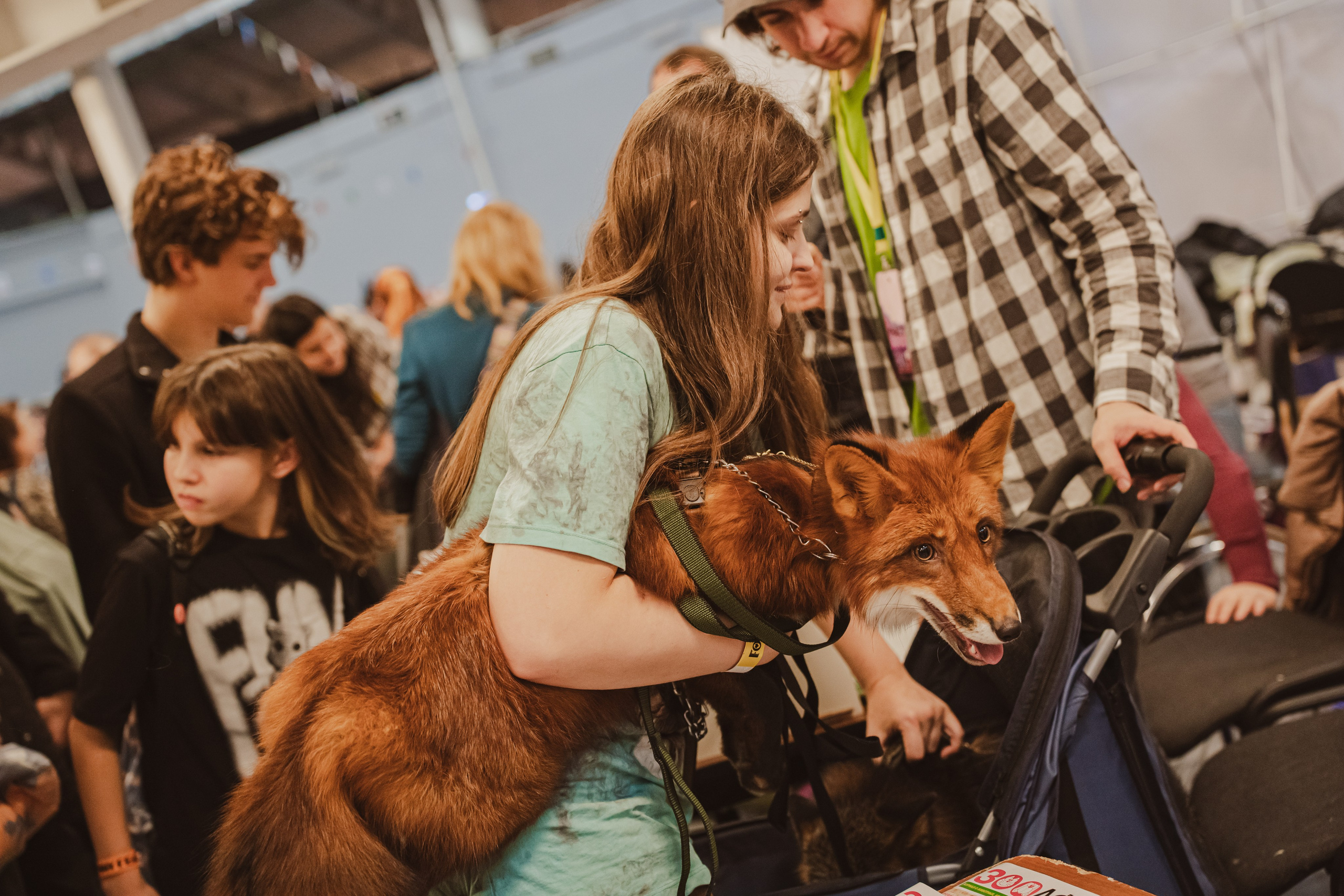Fox Family fest. Репортажный фотограф Анастасия Рубцова