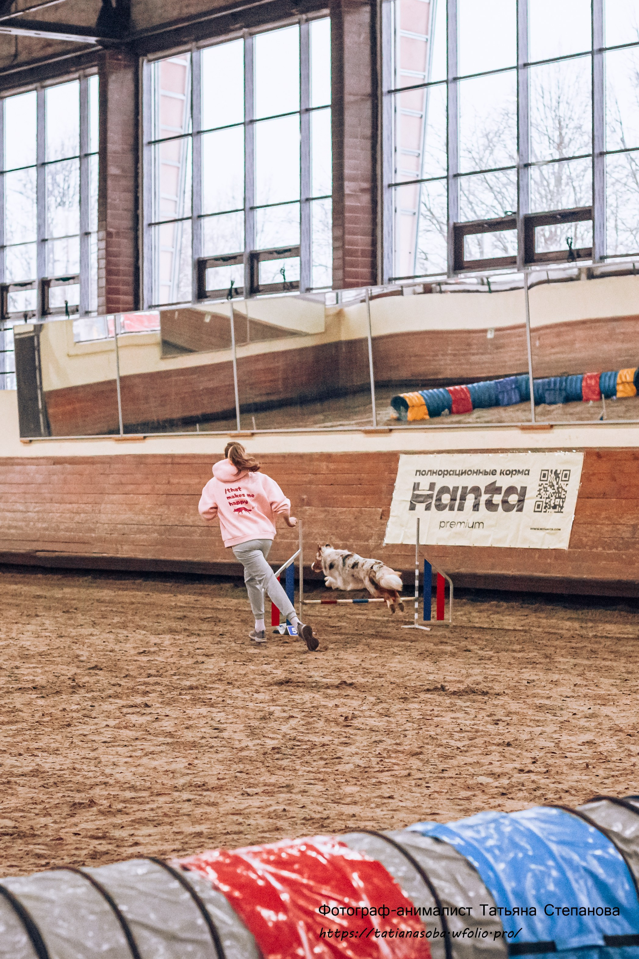 Соревнования по Аджилити 25.02.2024. Фотограф-анималист Татьяна Степанова