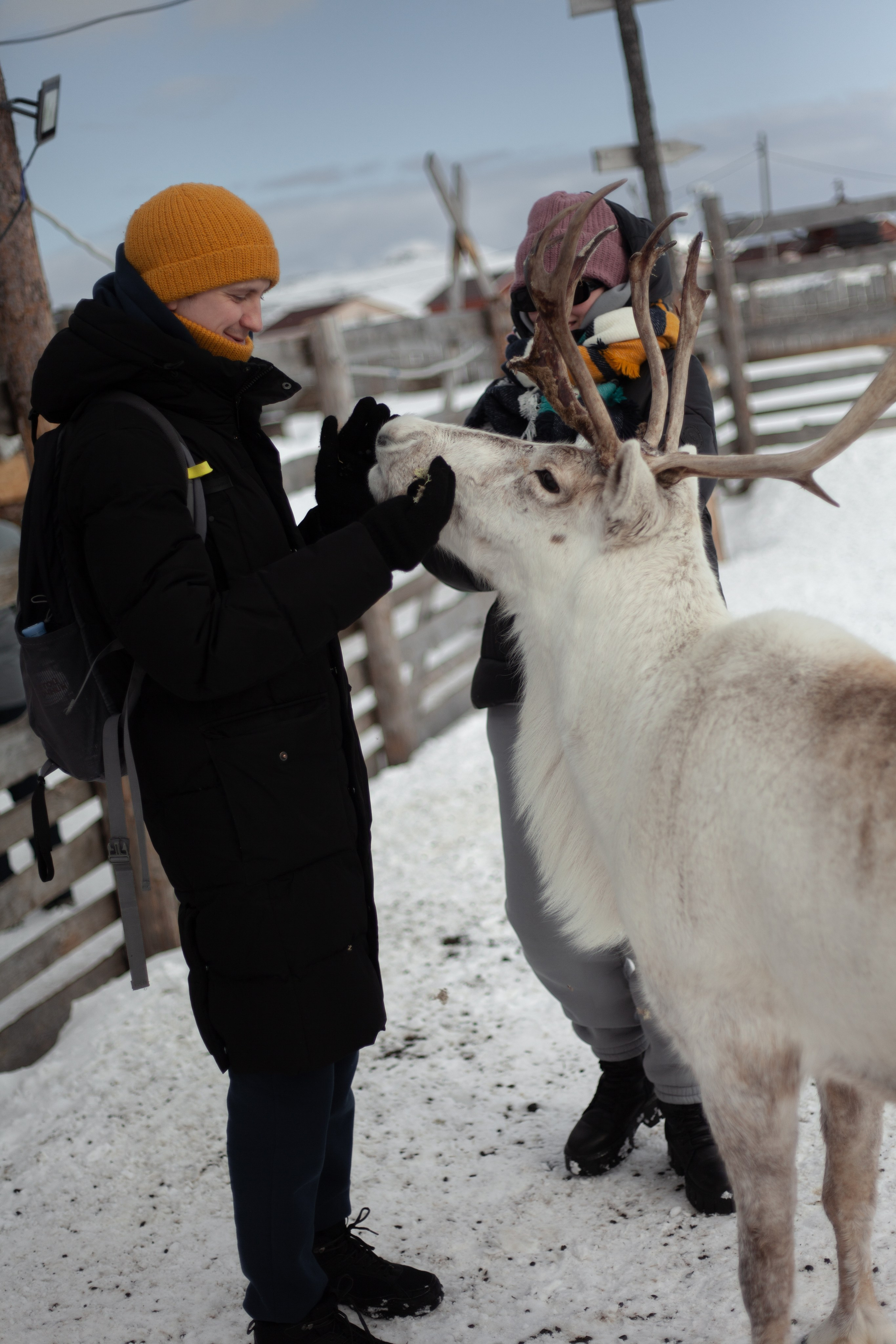Путешествие по Териберке. Северное сияние. Уникальные экспедиции — LUCKY CLAN