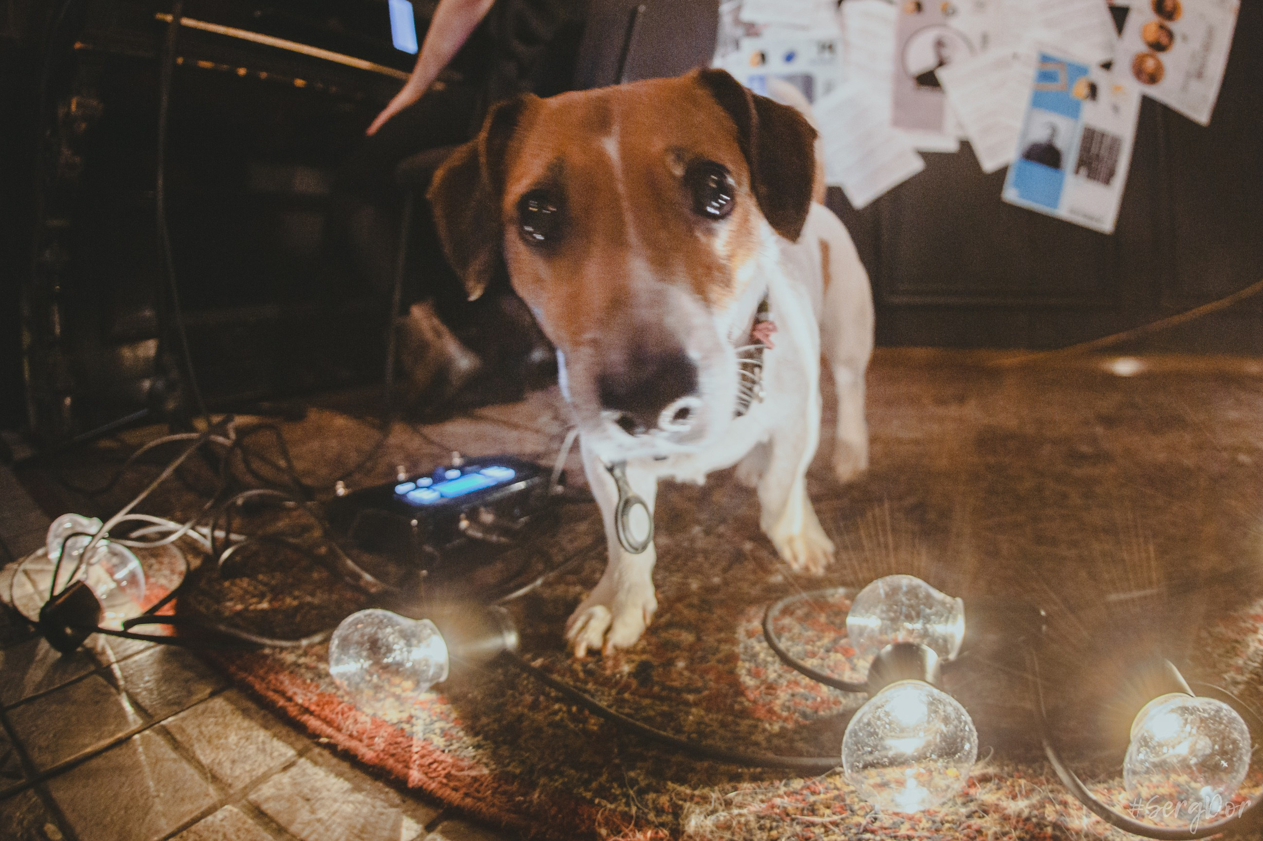 erni_Sh, Антилла, Могучая кучка, Эрнест Шеремет, Аля Глазкова, концерт, фортепьяно, Санкт-Петербург, 16.12.2023, SergDor, 16 декабря 2023 года, #SergDor