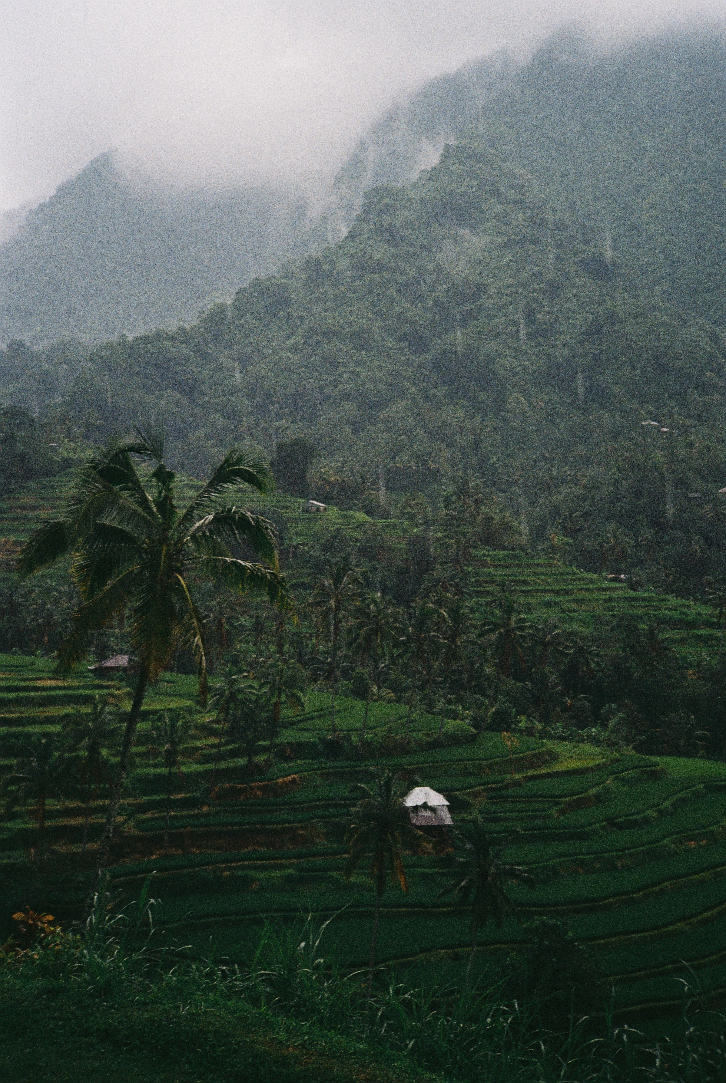 Asia. Olya Filina | Moscow Photographer