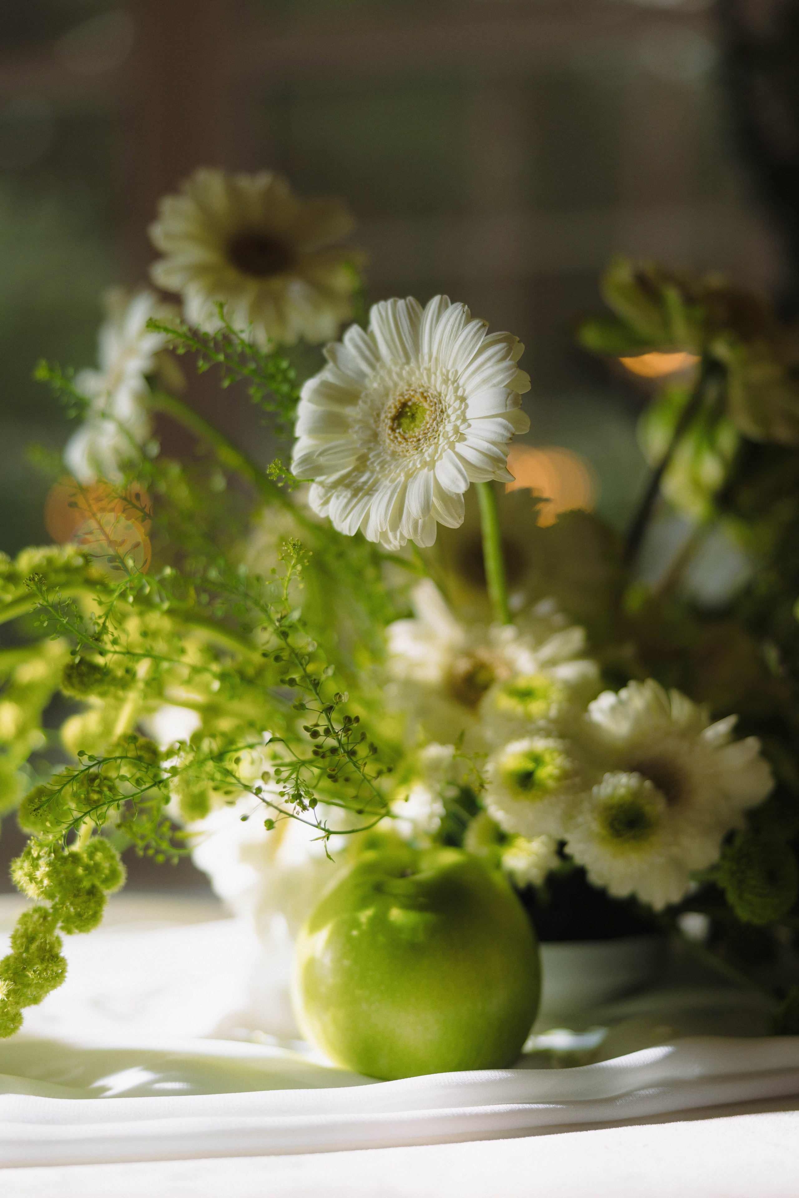 Зеленый сад