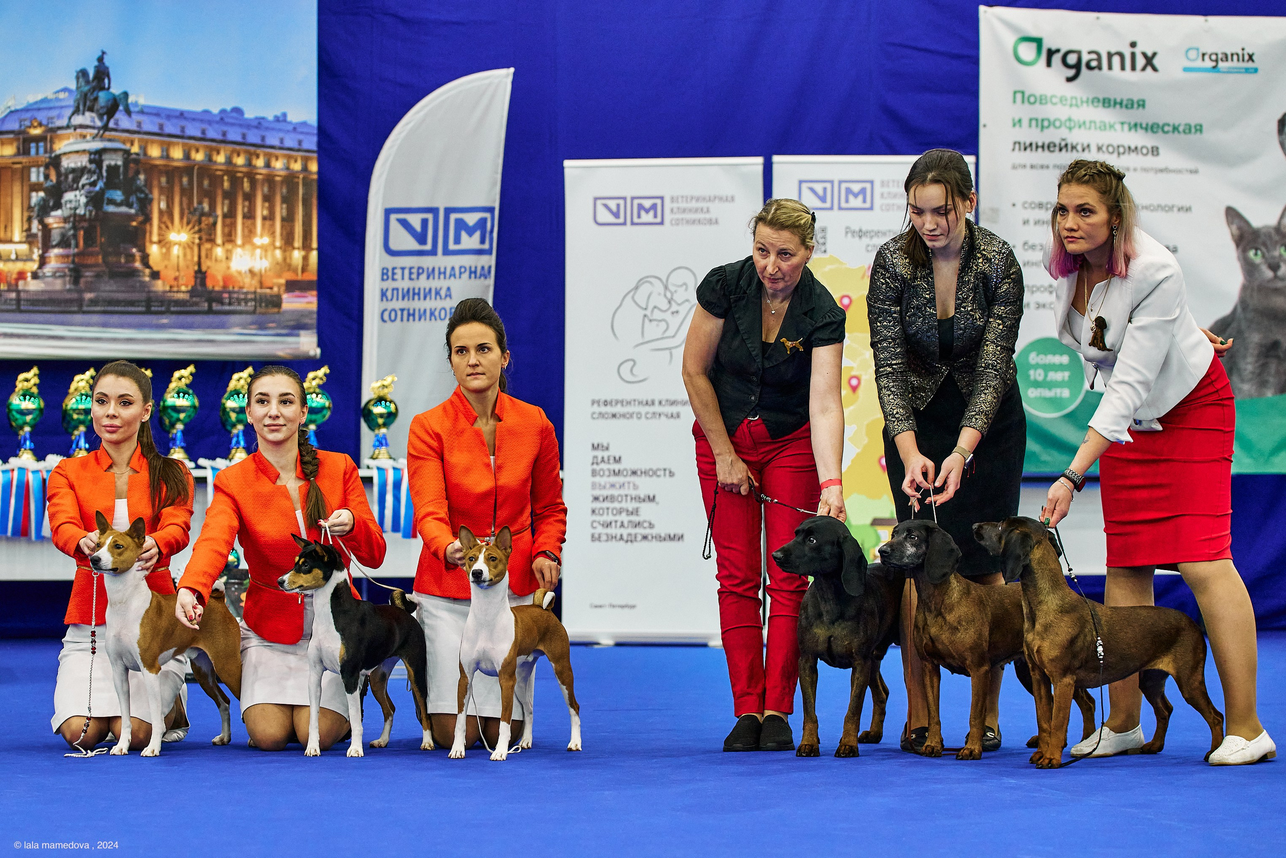 РЕЙТИНГОВАЯ ВЫСТАВКА СОБАК ВСЕХ ПОРОД С ОСОБЫМ СТАТУСОМ"НЕВСКИЙ ПОБЕДИТЕЛЬ-2024-2"