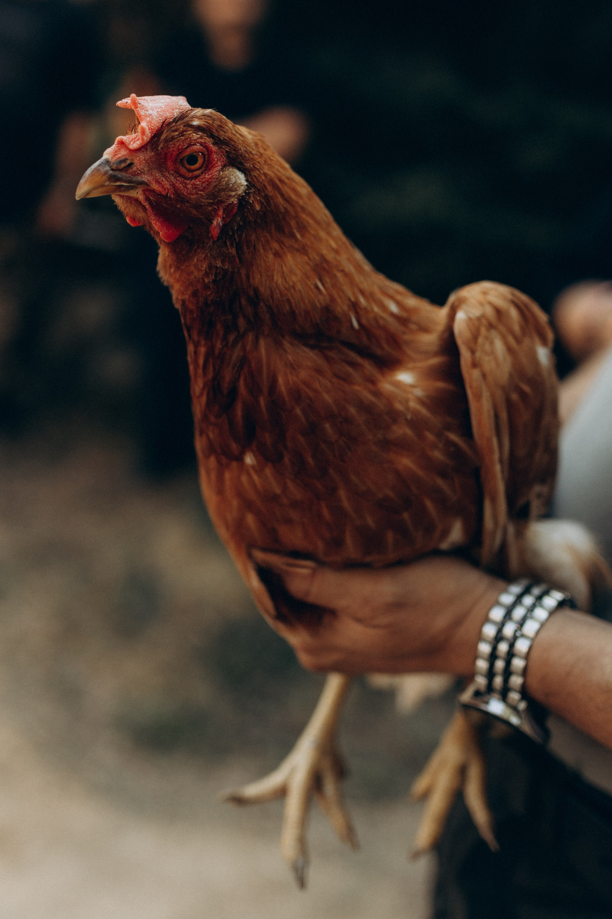 Jannet — балалайка (бэкстейдж к клипу). Фотограф НОГИНСК, Москва, Анастасия Белая