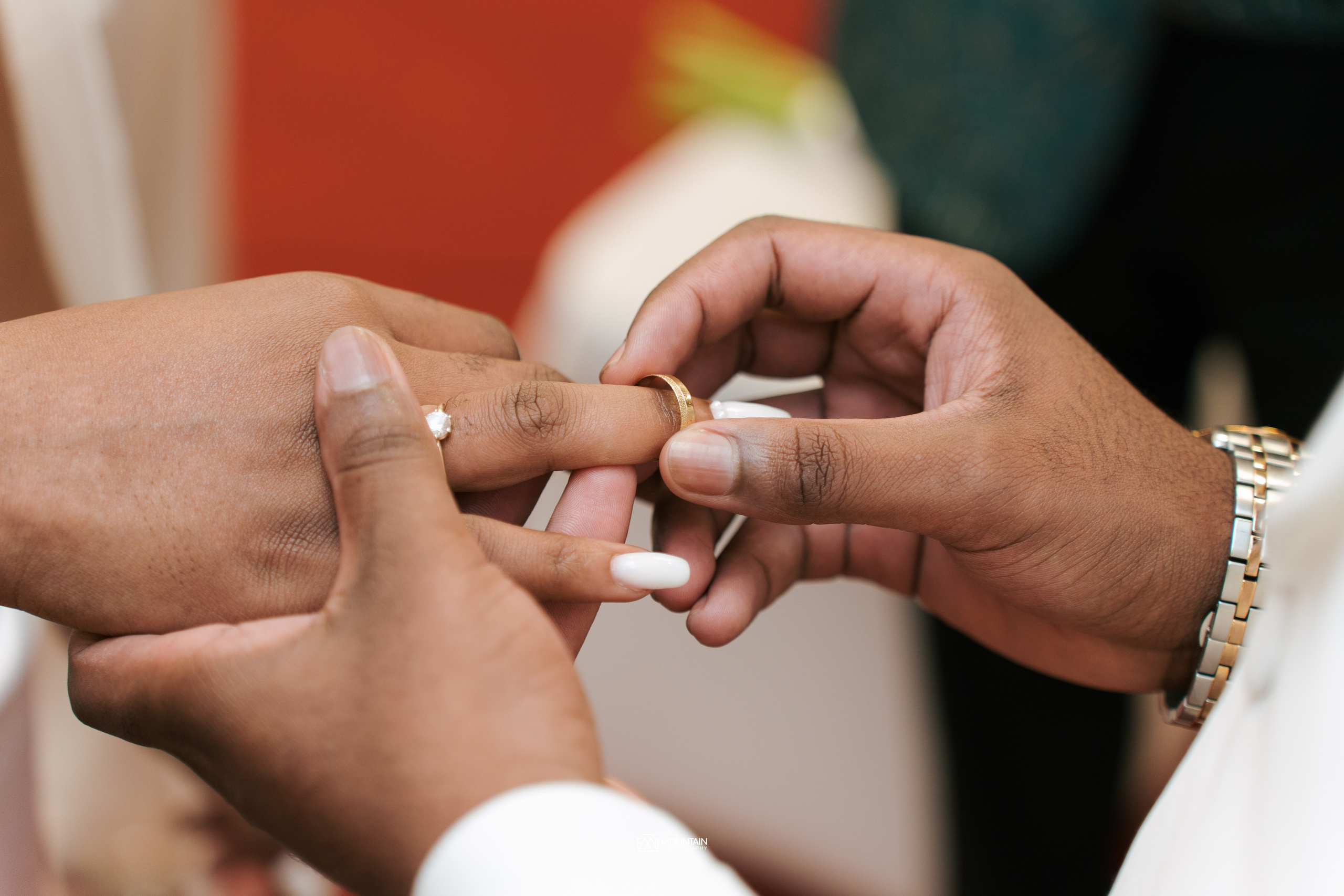 Dany & Mika. Я занимаюсь событийной, свадебной, товарной, студийной… фотографией