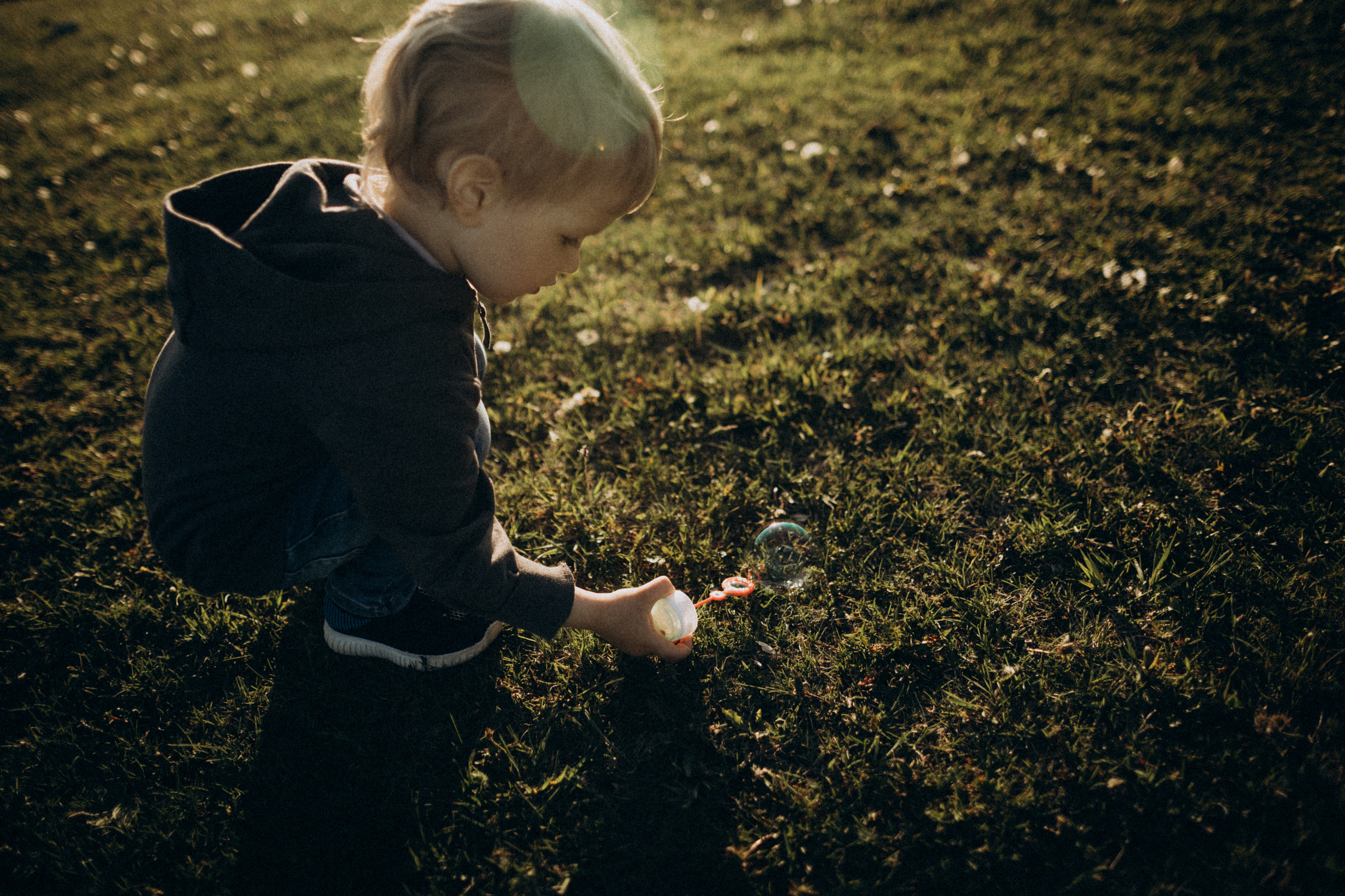 Про лето, любовь и одуванчики. Семейный фотограф в Краснодаре Анна Пасик
