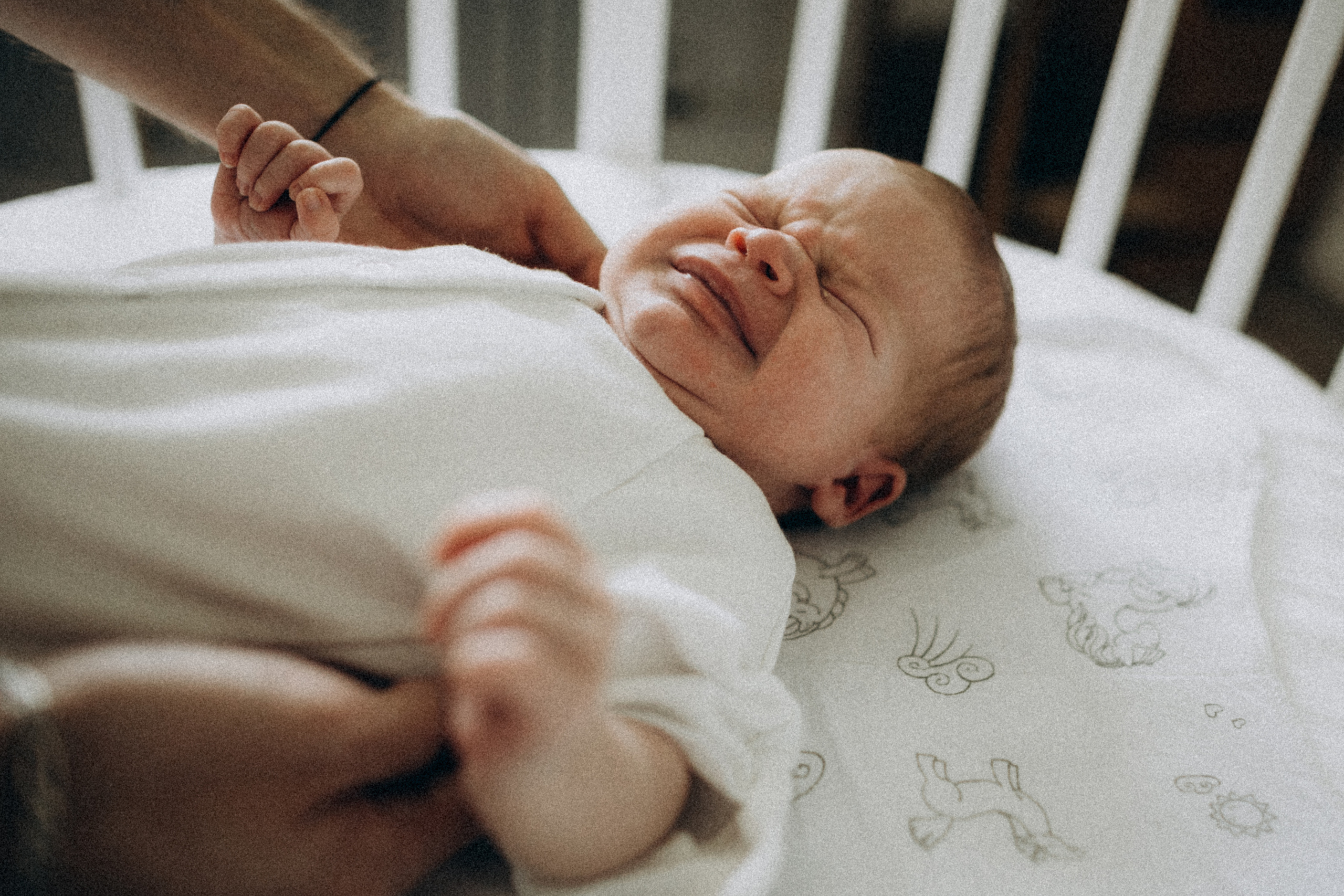Юлия Андрей Адриан. Семейный фотограф в Краснодаре Анна Пасик