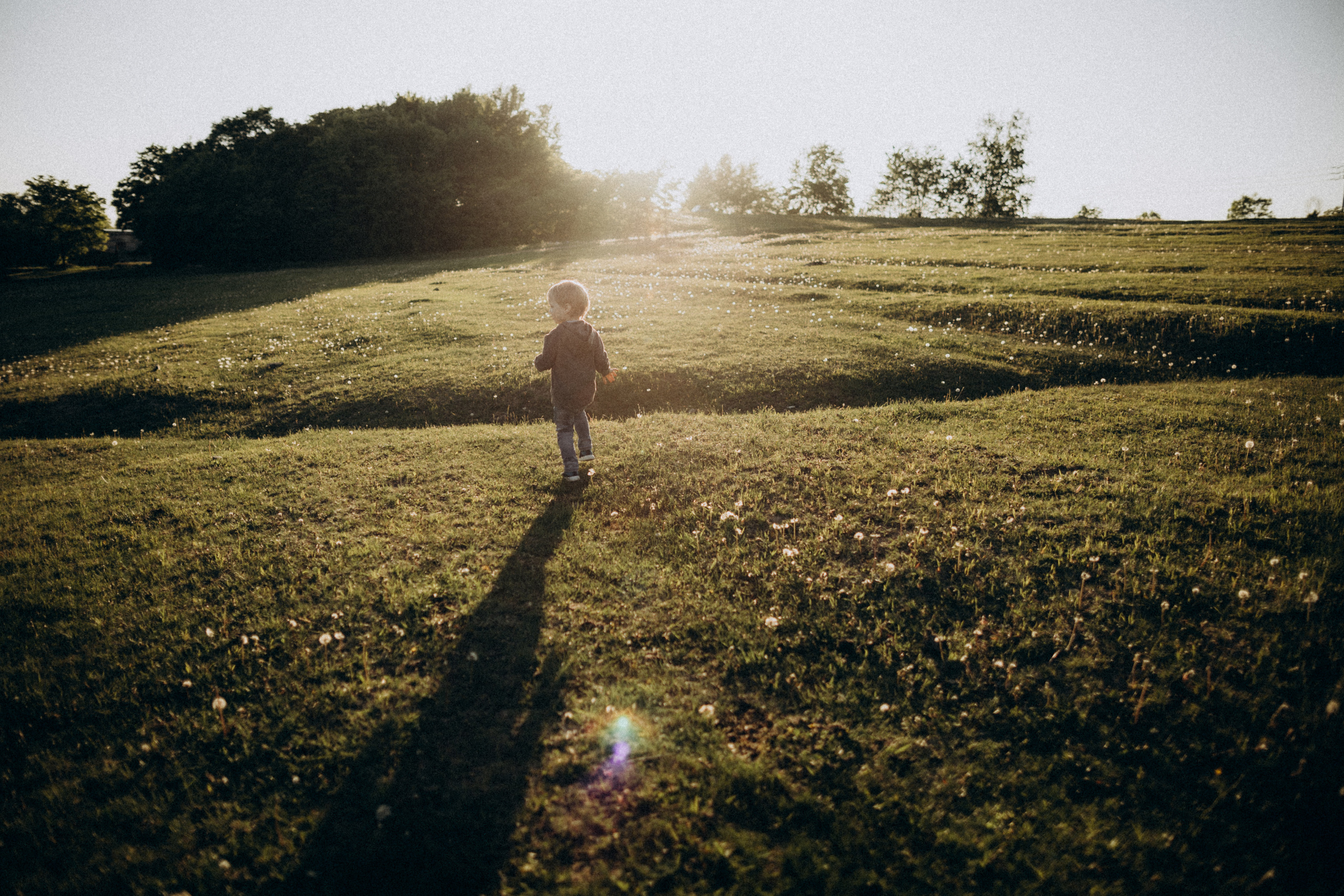 Про лето, любовь и одуванчики. Семейный фотограф в Краснодаре Анна Пасик