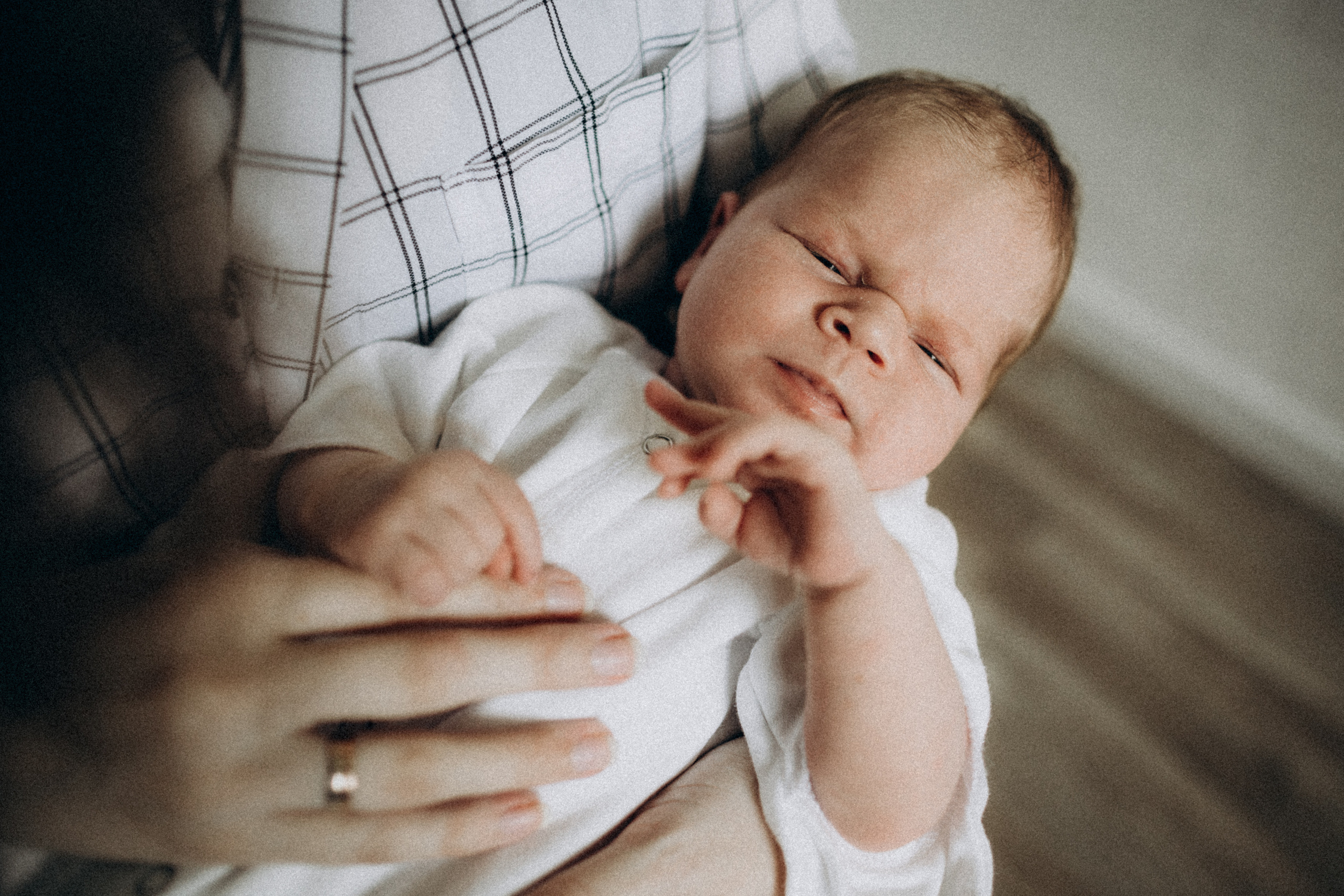 Юлия Андрей Адриан. Семейный фотограф в Краснодаре Анна Пасик