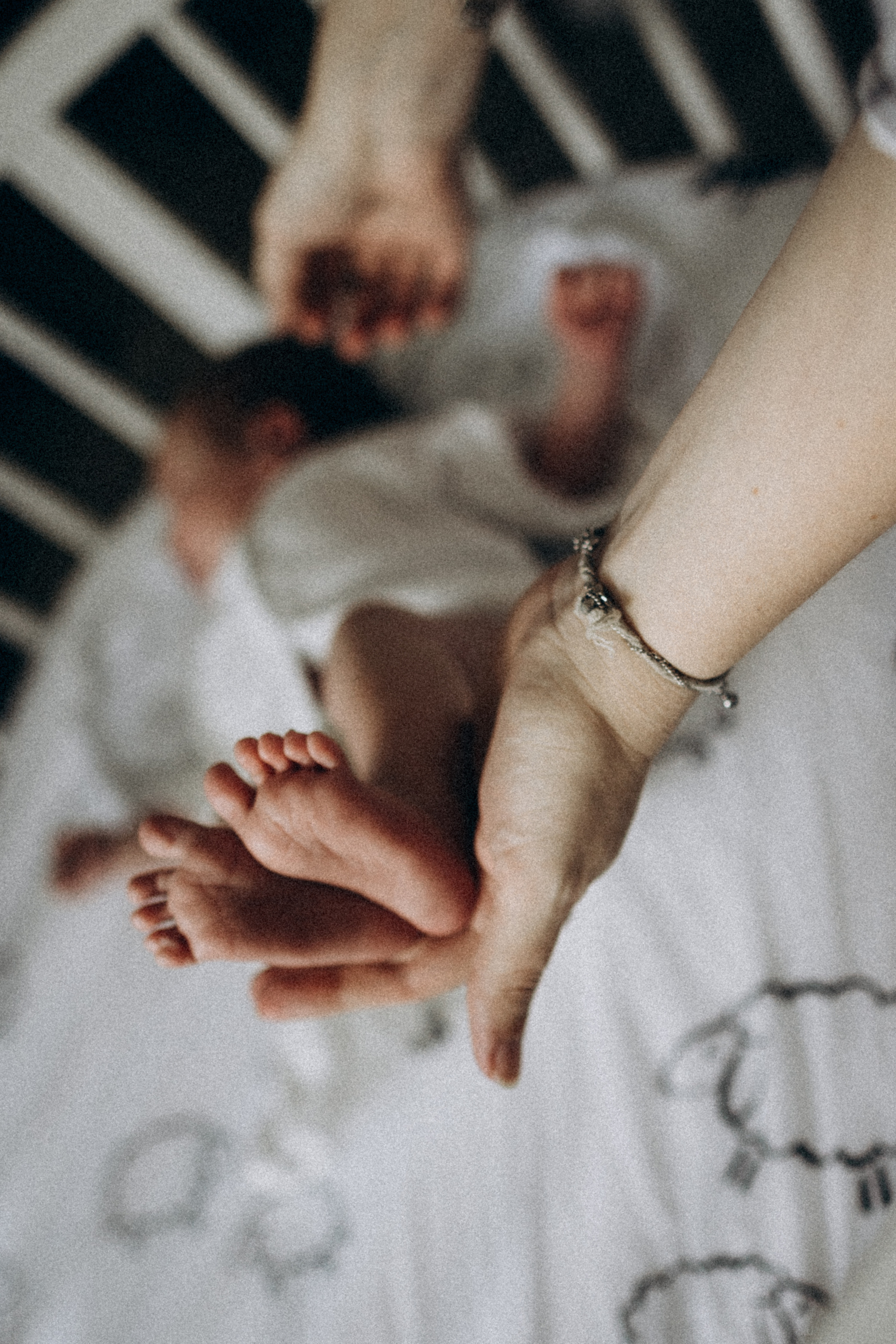 Юлия Андрей Адриан. Семейный фотограф в Краснодаре Анна Пасик