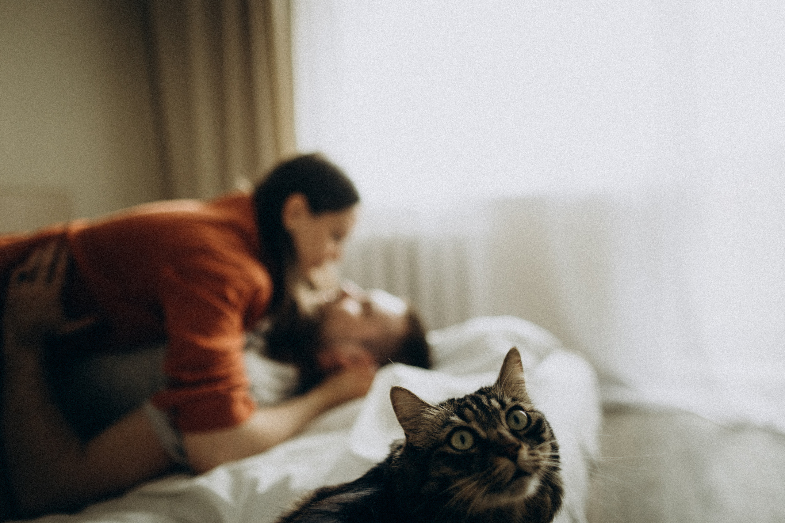 Яна и Никита. Семейный фотограф в Краснодаре Анна Пасик