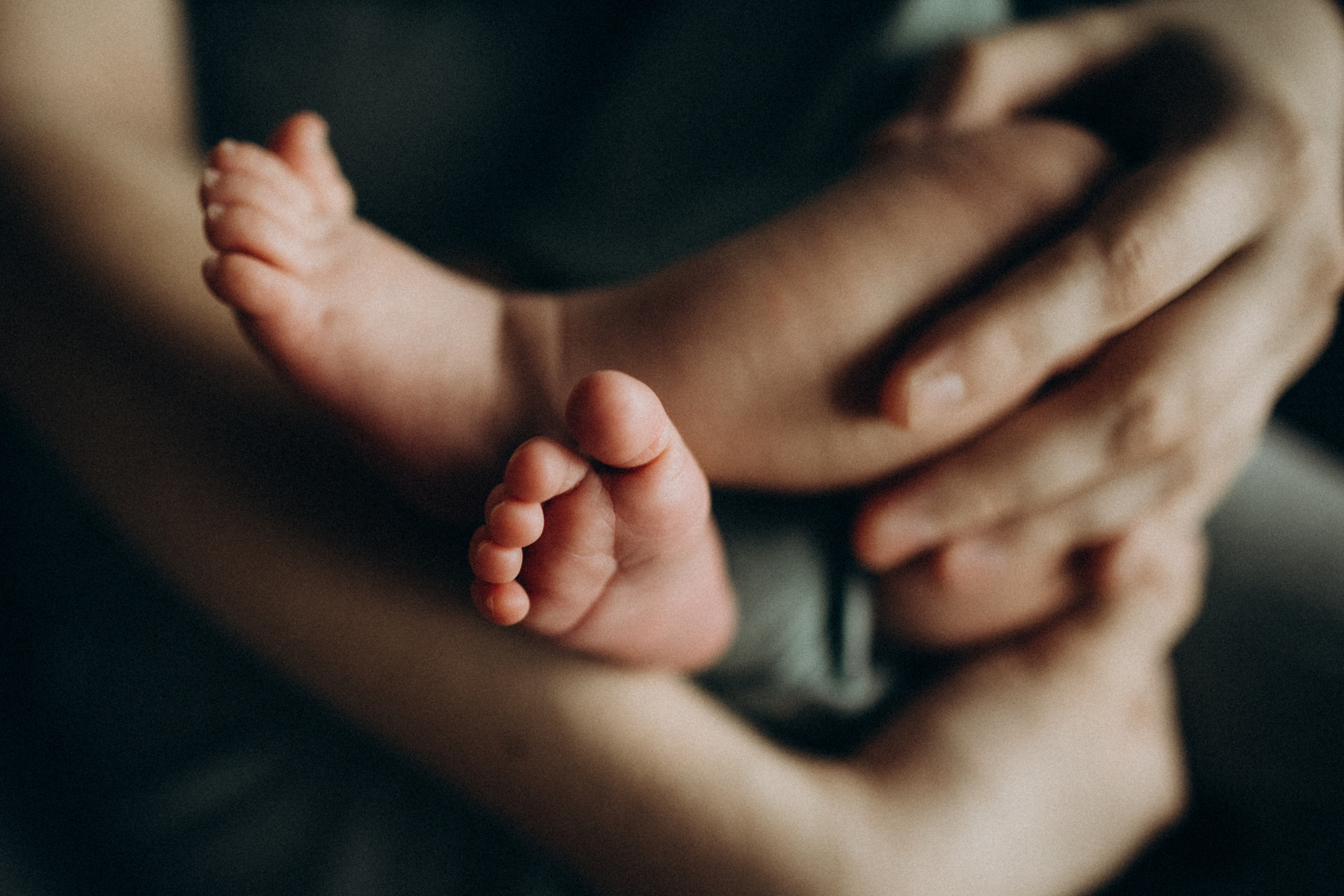 Дом, где живет любовь🤍. Семейный фотограф в Краснодаре Анна Пасик