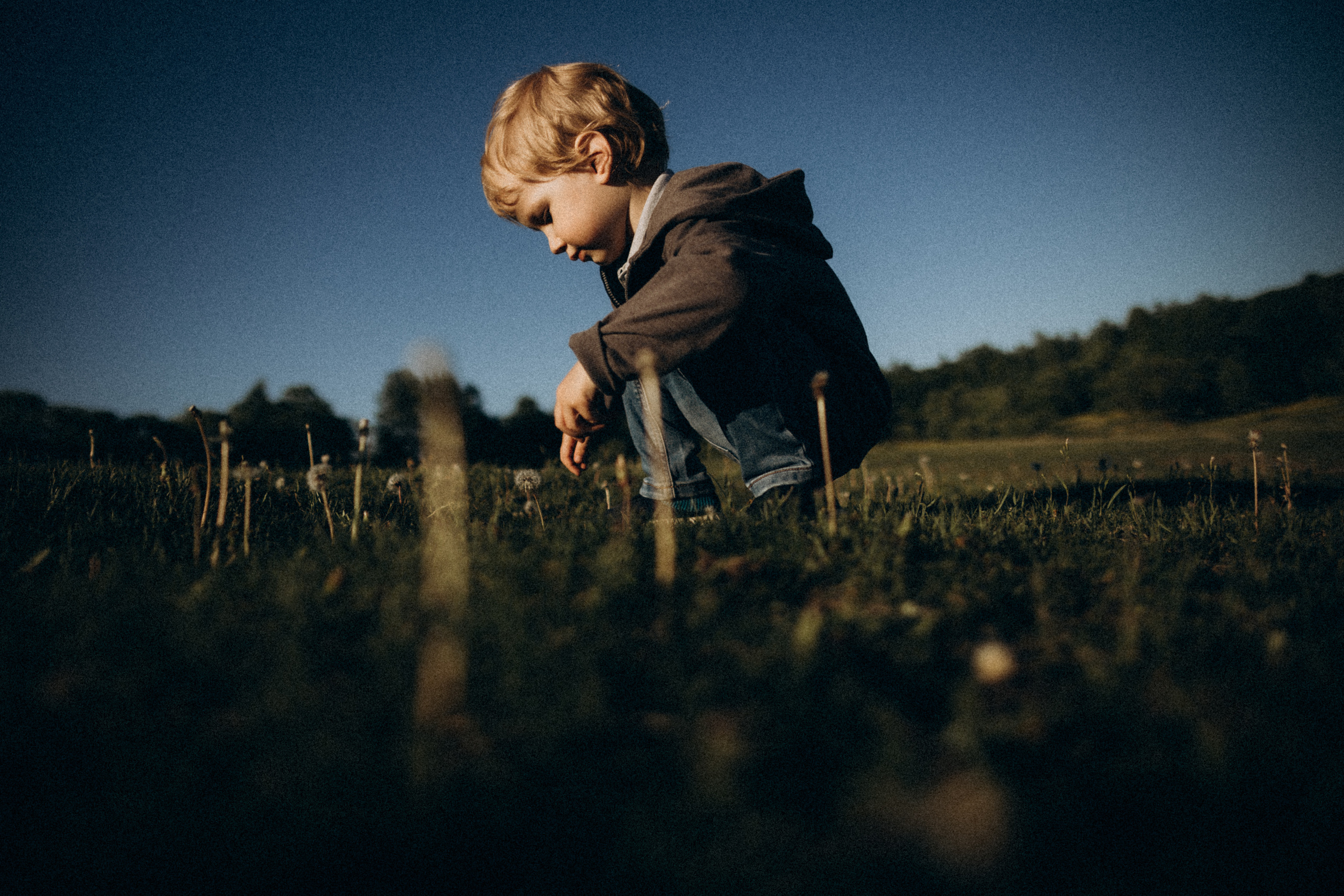Про лето, любовь и одуванчики. Семейный фотограф в Краснодаре Анна Пасик