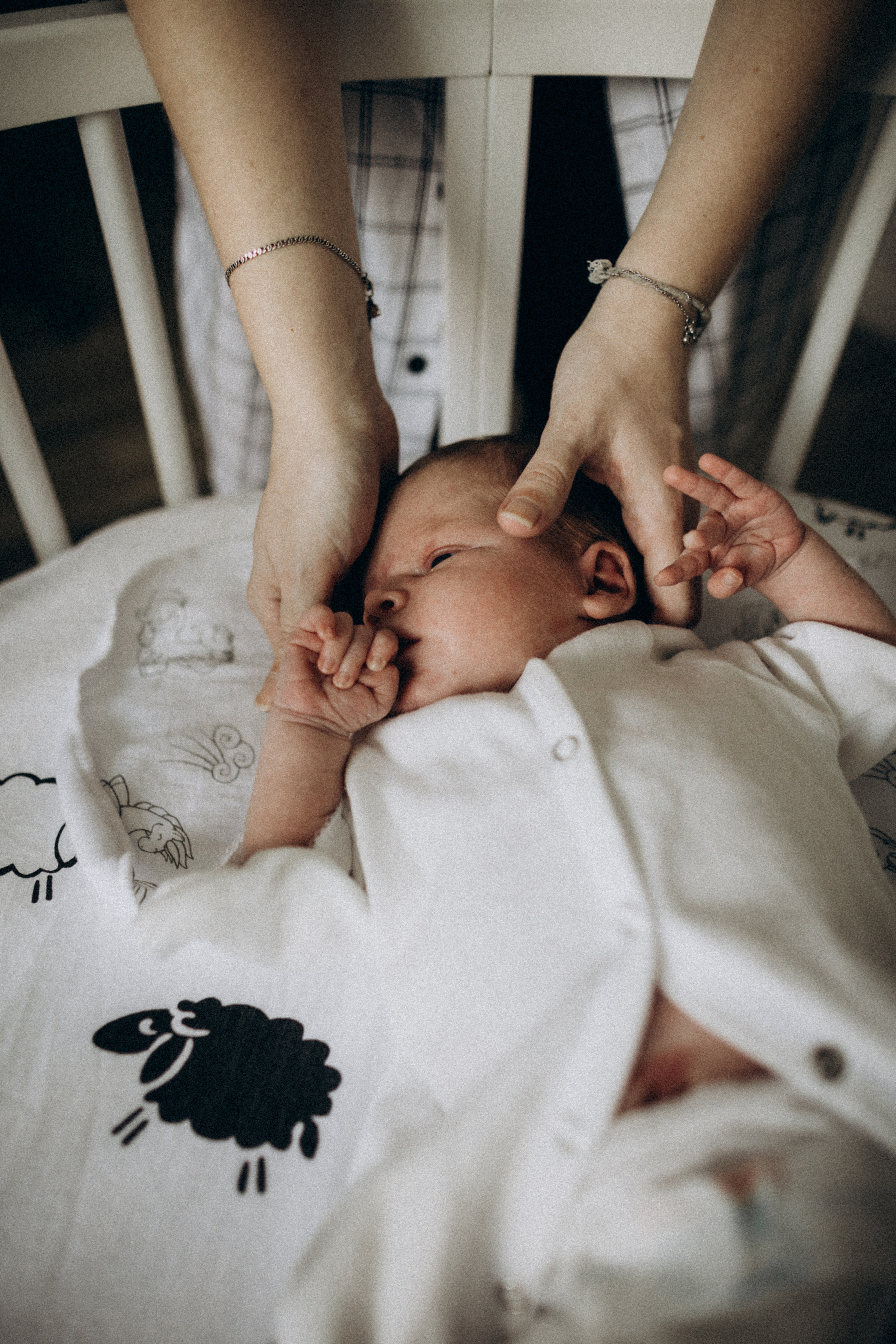 Юлия Андрей Адриан. Семейный фотограф в Краснодаре Анна Пасик