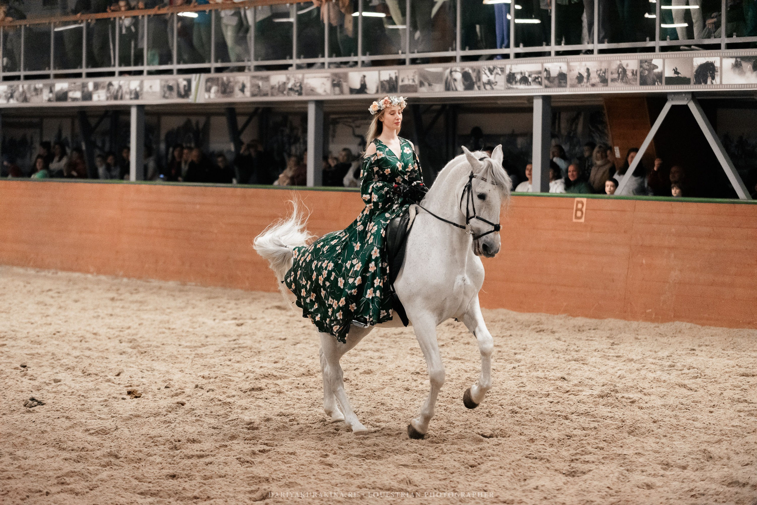 Конное представление «Дыхание Звёзд». Конный фотограф Куракина Дарья • Фотосессии с лошадьми