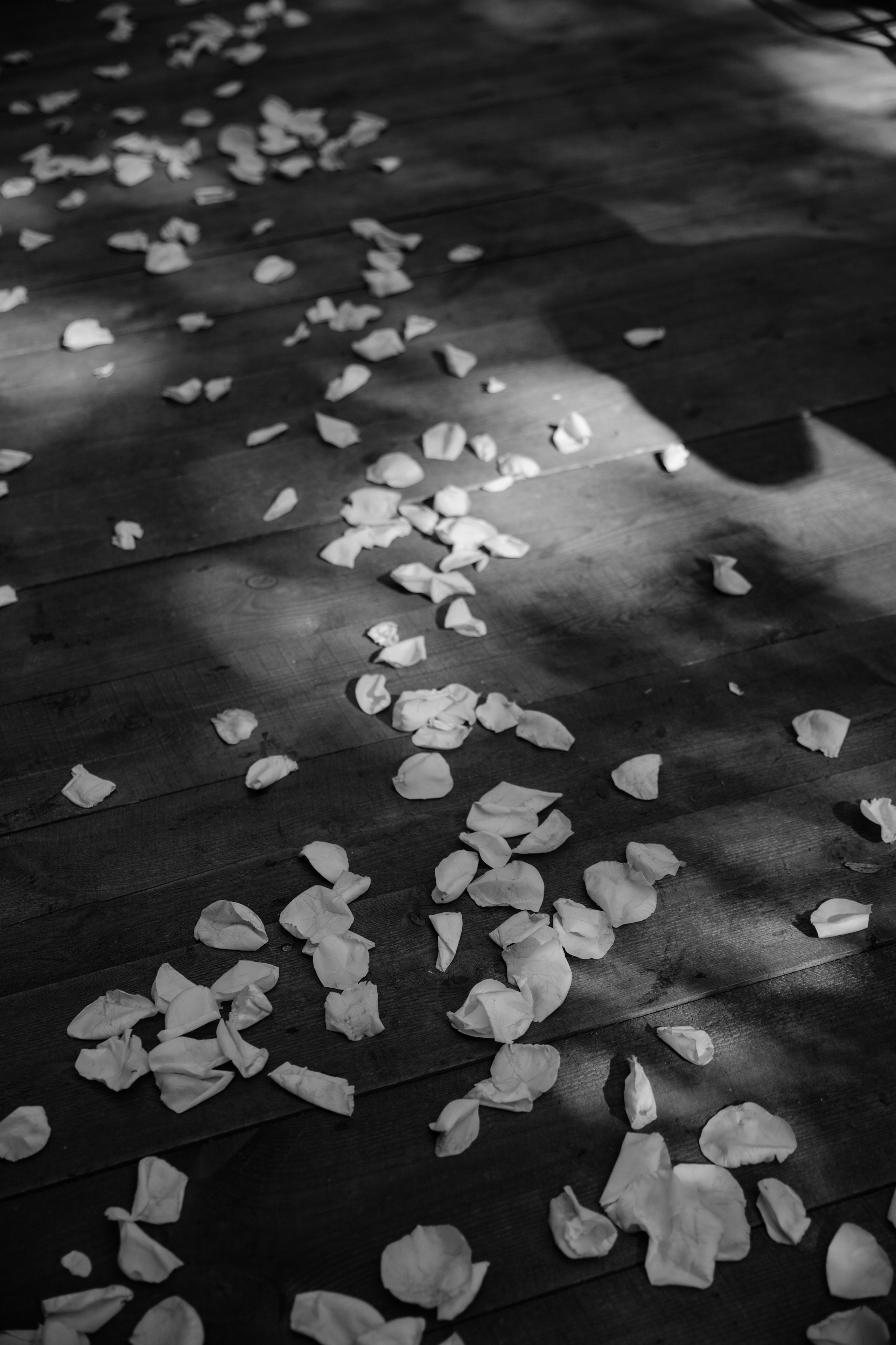 Даша и Леша | 12.08. Портретный и свадебный фотограф в Москве Алина Гевал