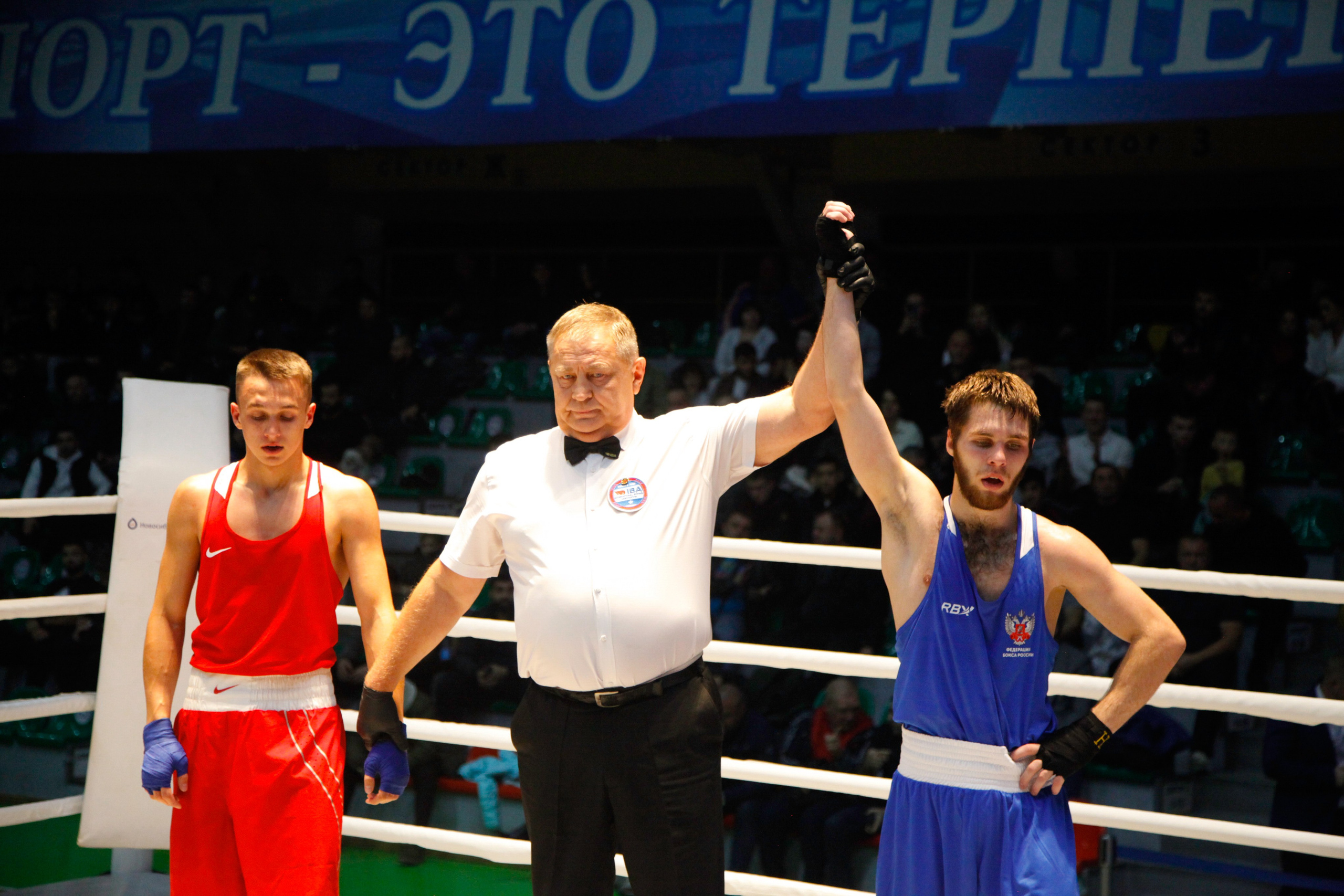 БОКС. Фото. Спортивный фотограф, трансляция, звук и свет в Новосибирске