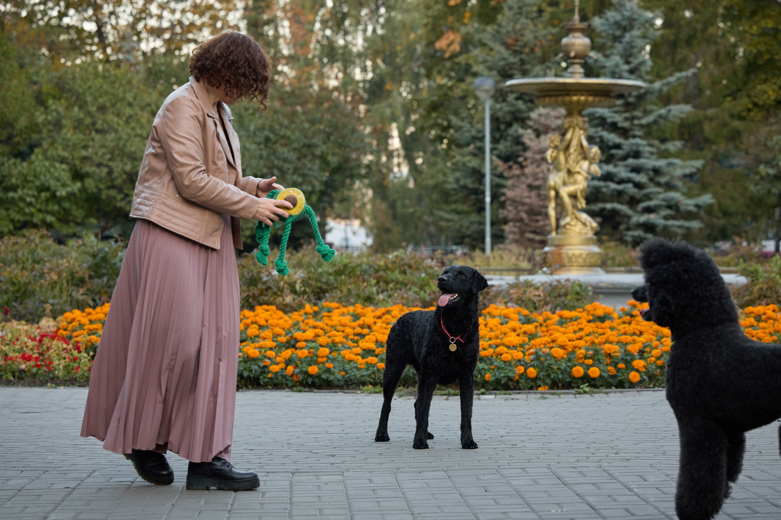 Альбина. Марфа и Мистик. Прогулка в парке. Фотограф анималист в Казани Алина Сулейманова. Фотограф животных