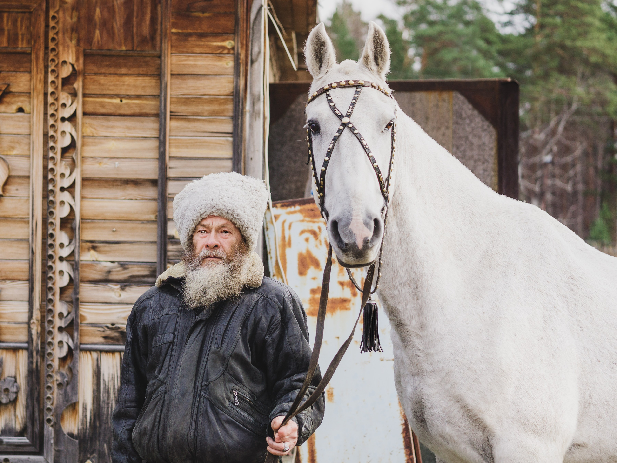 Life with horse. Saamill