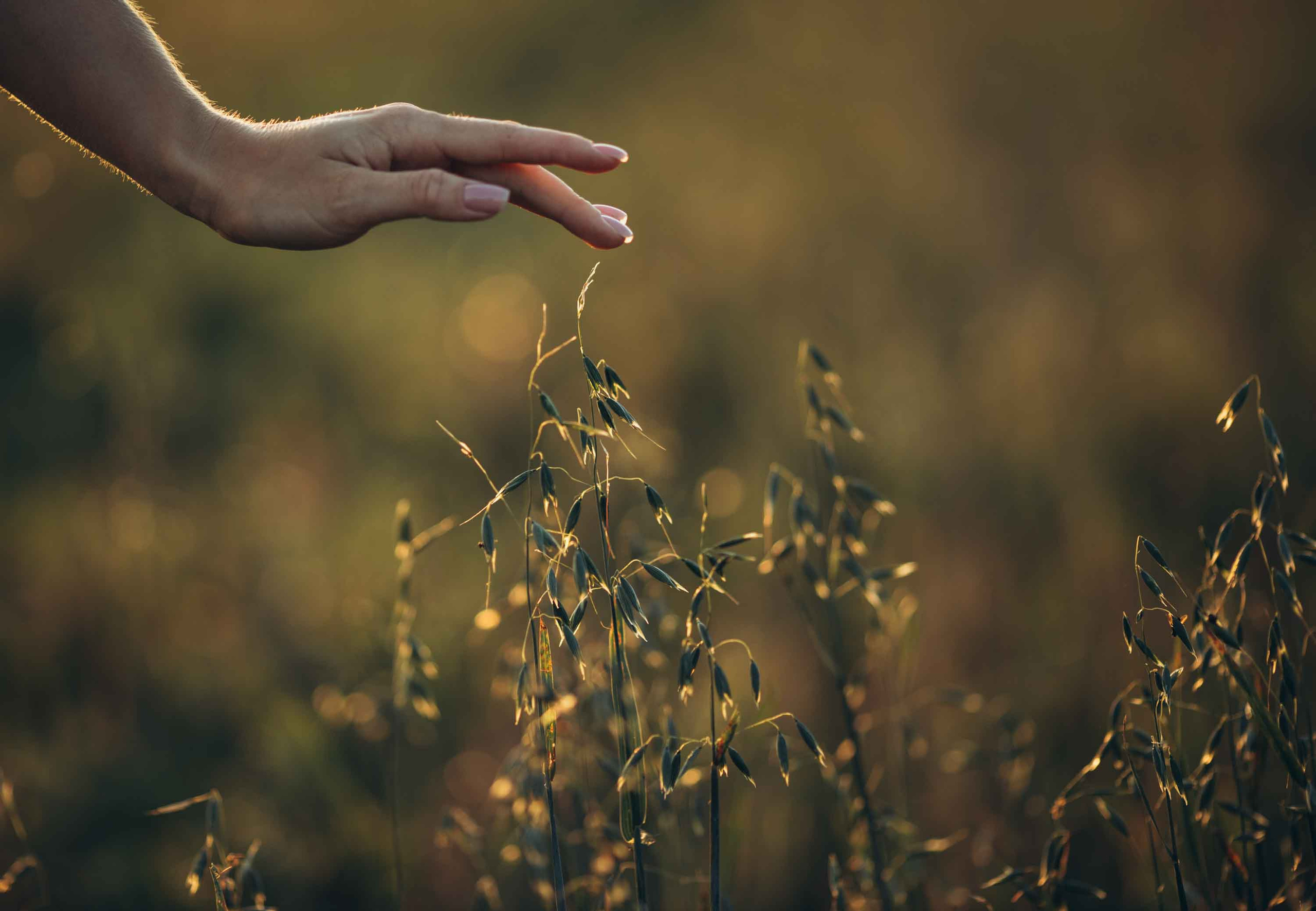Портрет в поле. Наталия Клевинскас портретный фотограф в Костроме