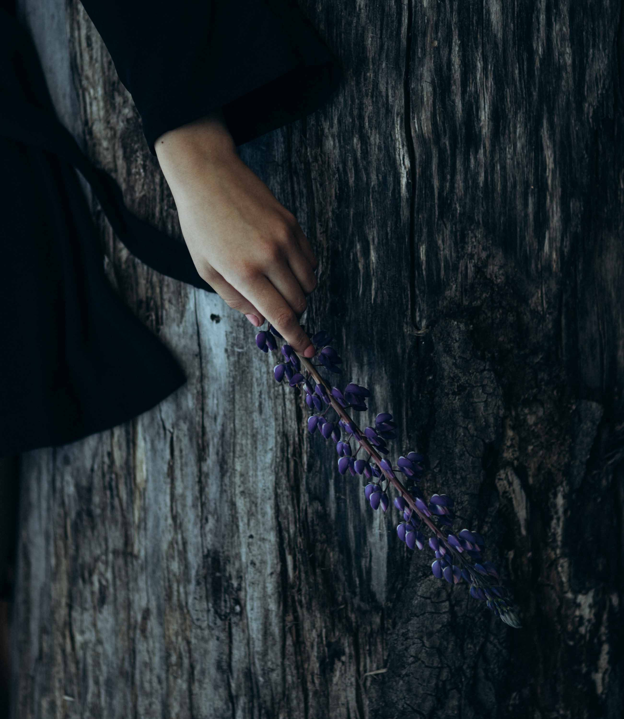 Девушка с подсолнухом. Наталия Клевинскас портретный фотограф в Костроме