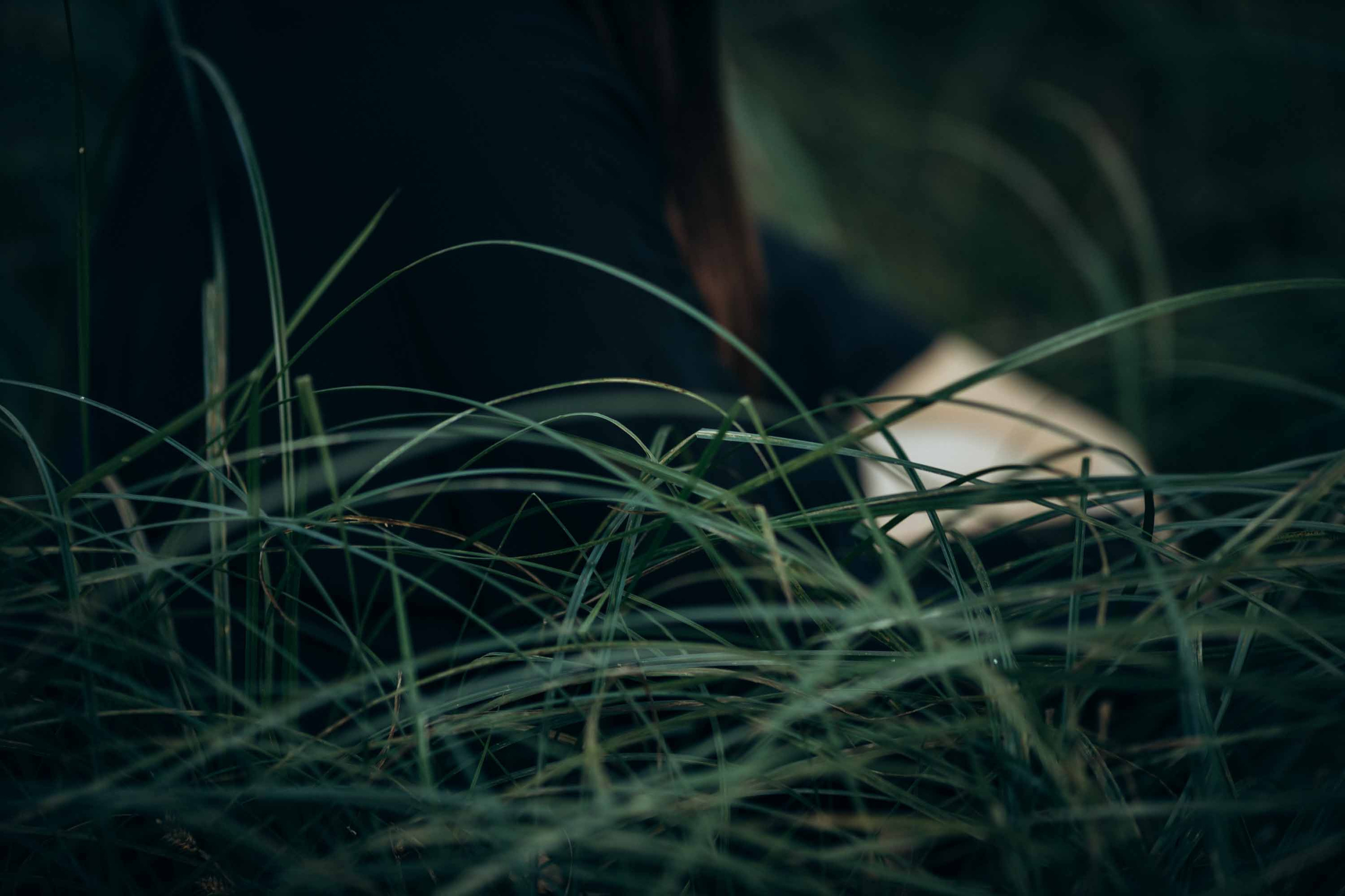 Девушка с подсолнухом. Наталия Клевинскас портретный фотограф в Костроме