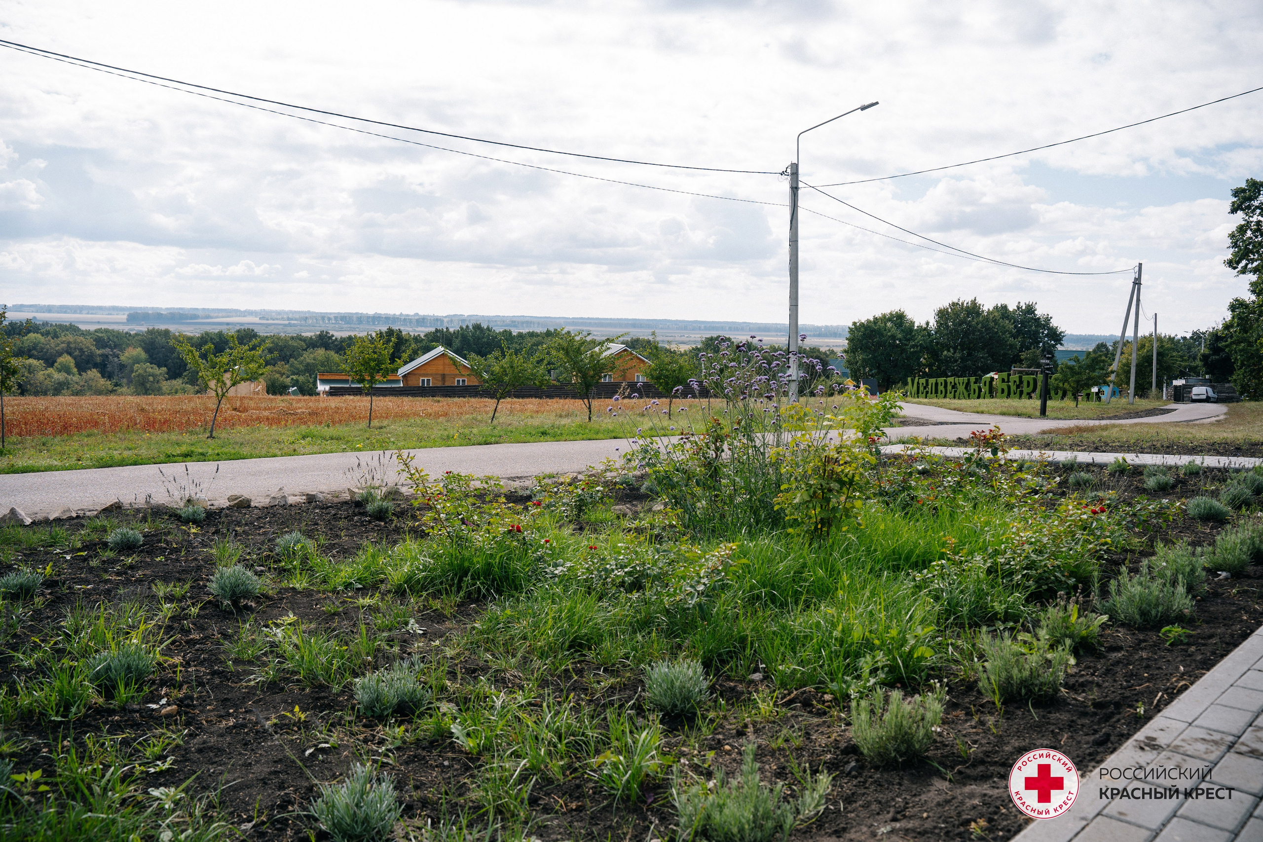 Красный крест | Дегас, медвежья берлога. Фотограф в Воронеже Ольга Космодемьянская